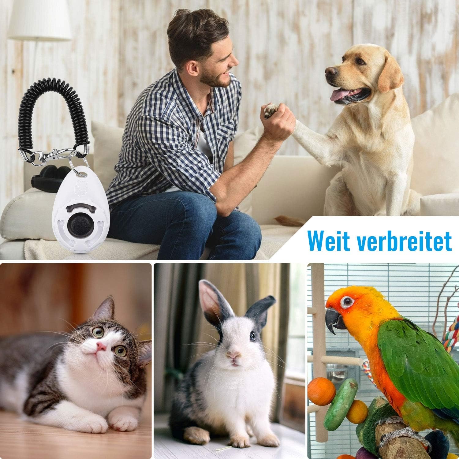 Diyife 4 Stück Hunde Clicker, Multi-Color Trainings-Clicker mit Handschlaufe – Bild 4