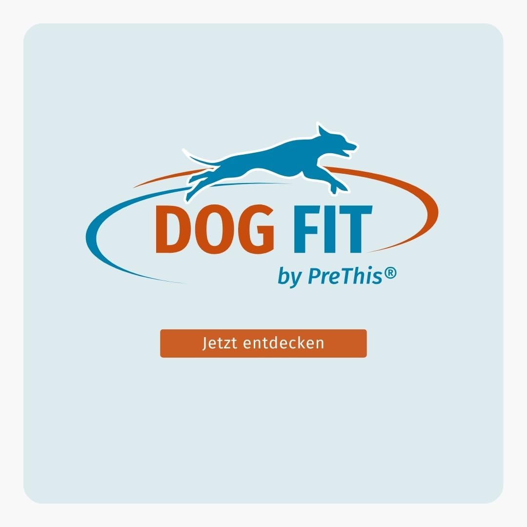 DOG FIT by PreThis® Vitamin B Komplex für Hunde | Unterstützung der normalen Nervenfunktion I Vitalität & Stoffwechsel | Vegan & ohne künstliche Zusätze I Large ab 25kg | 60 vegane Kapseln – Bild 6