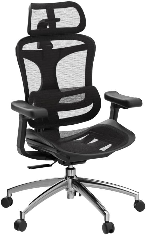 SIHOO Doro C300 Bürostuhl Ergonomisch mit Dynamischer Lendenwirbelstütze – Bild 3