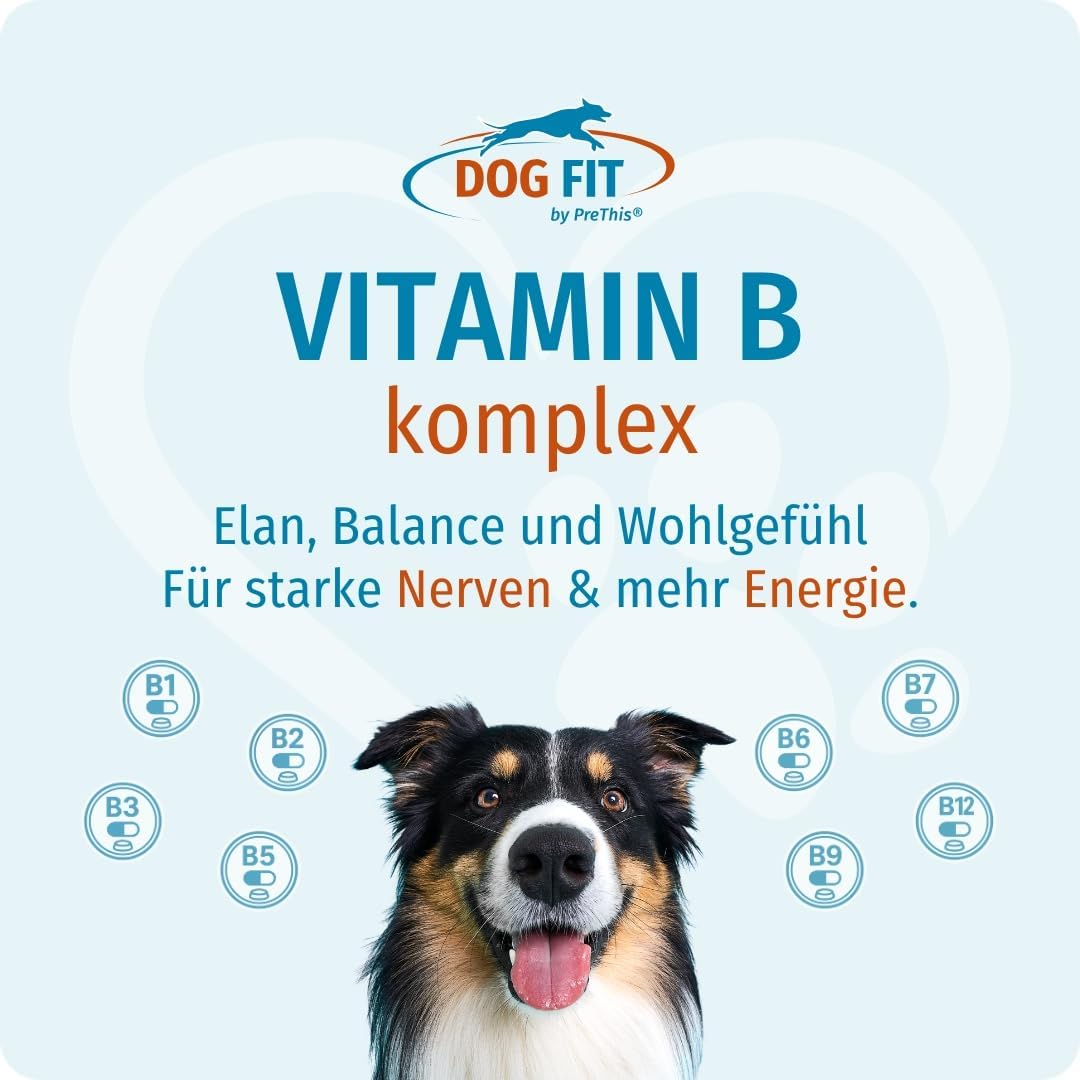 DOG FIT by PreThis® Vitamin B Komplex für Hunde | Unterstützung der normalen Nervenfunktion I Vitalität & Stoffwechsel | Vegan & ohne künstliche Zusätze I Large ab 25kg | 60 vegane Kapseln – Bild 2