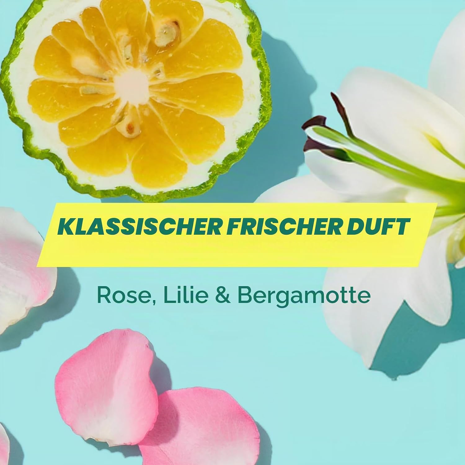 Batiste Trockenshampoo Original, Ohne Weiße Rückstände, 200ml – Bild 8