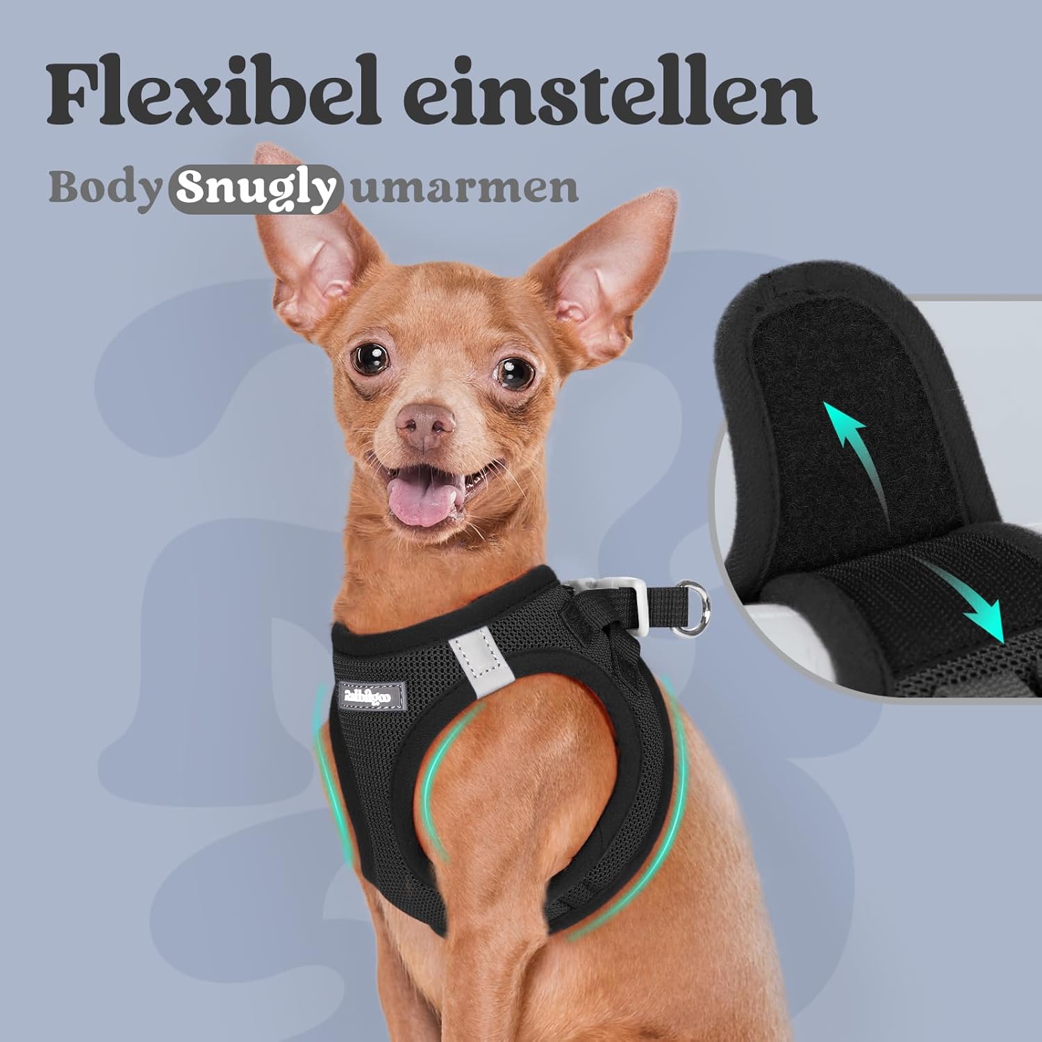 rabbitgoo Hundegeschirr Kleine Hunde, Step-in Weiches Mesh, Schwarz – Bild 6