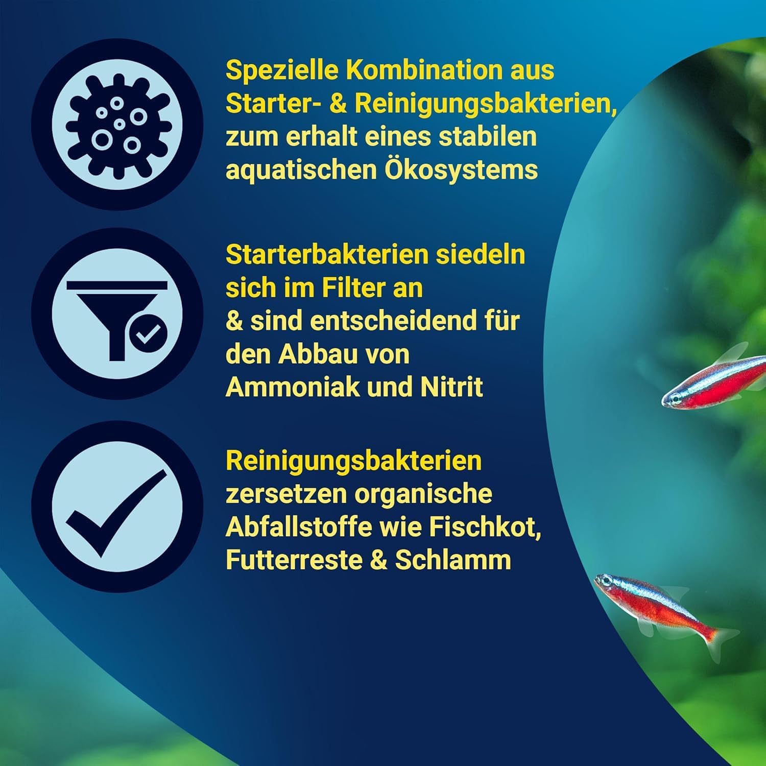 Tetra FilterActive Bacteria - Wasserpflegemittel, 250 ml Flasche – Bild 4