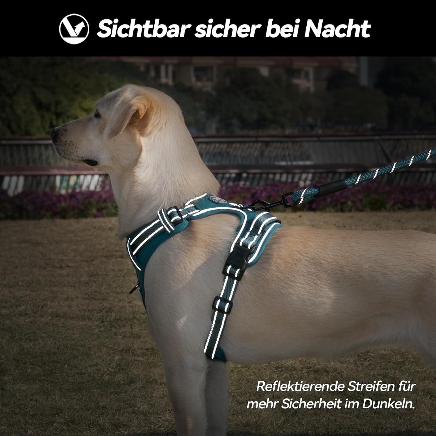 PoyPet Hundegeschirr ohne Zug, Reflektierendes Hundegeschirr für Hunde ohne Würgen, verstellbare, weich gepolsterte Haustierweste mit einfachem Steuergriff für mittelgroße Hunde (Tumalo Teal, M) – Bild 9