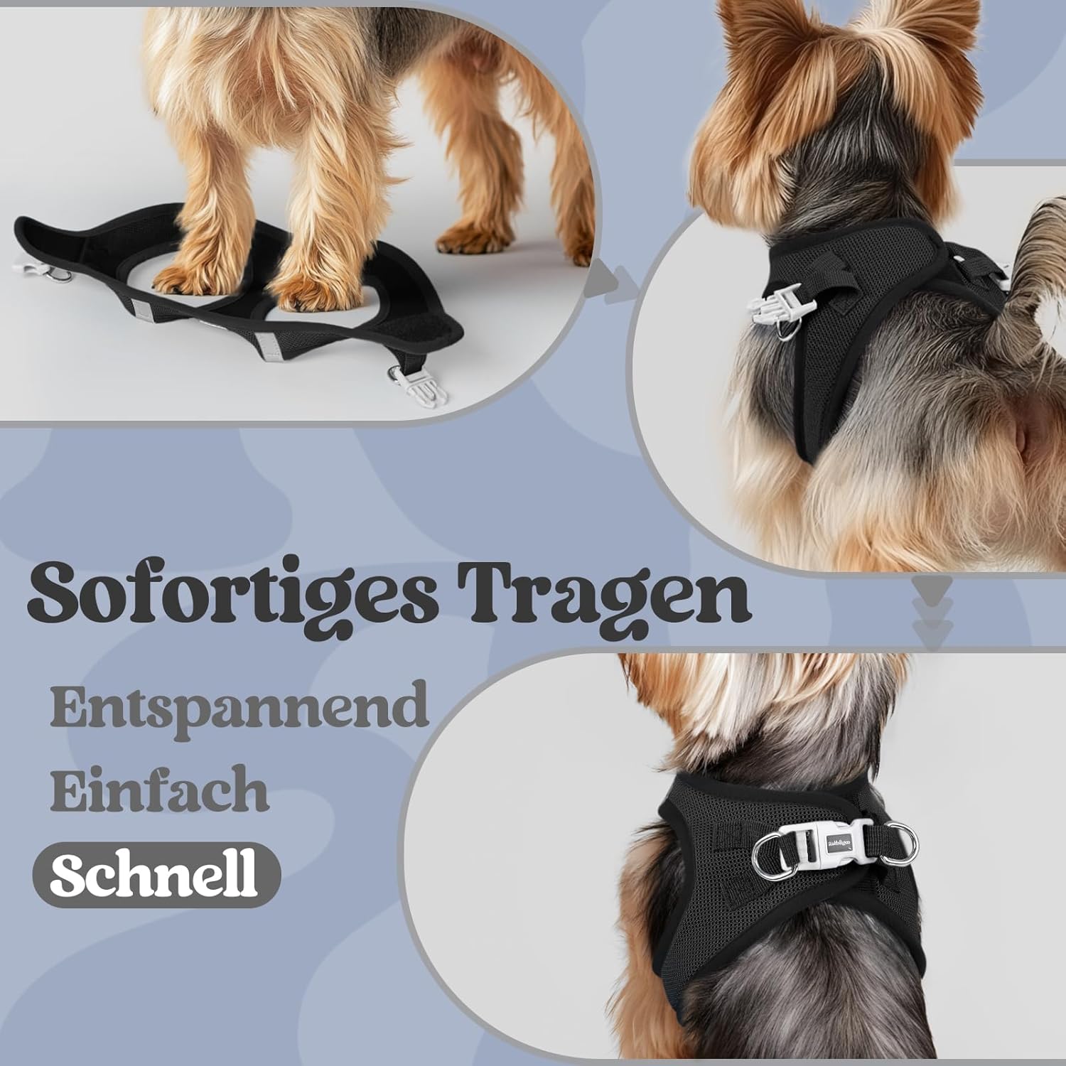 rabbitgoo Hundegeschirr Kleine Hunde, Step-in Weiches Mesh, Schwarz – Bild 5