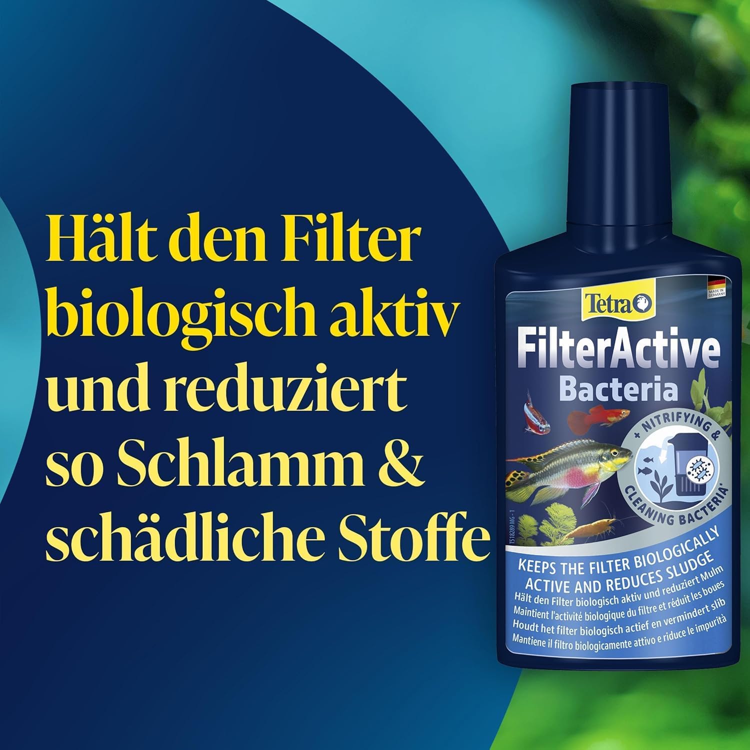 Tetra FilterActive Bacteria - Wasserpflegemittel, 250 ml Flasche – Bild 3