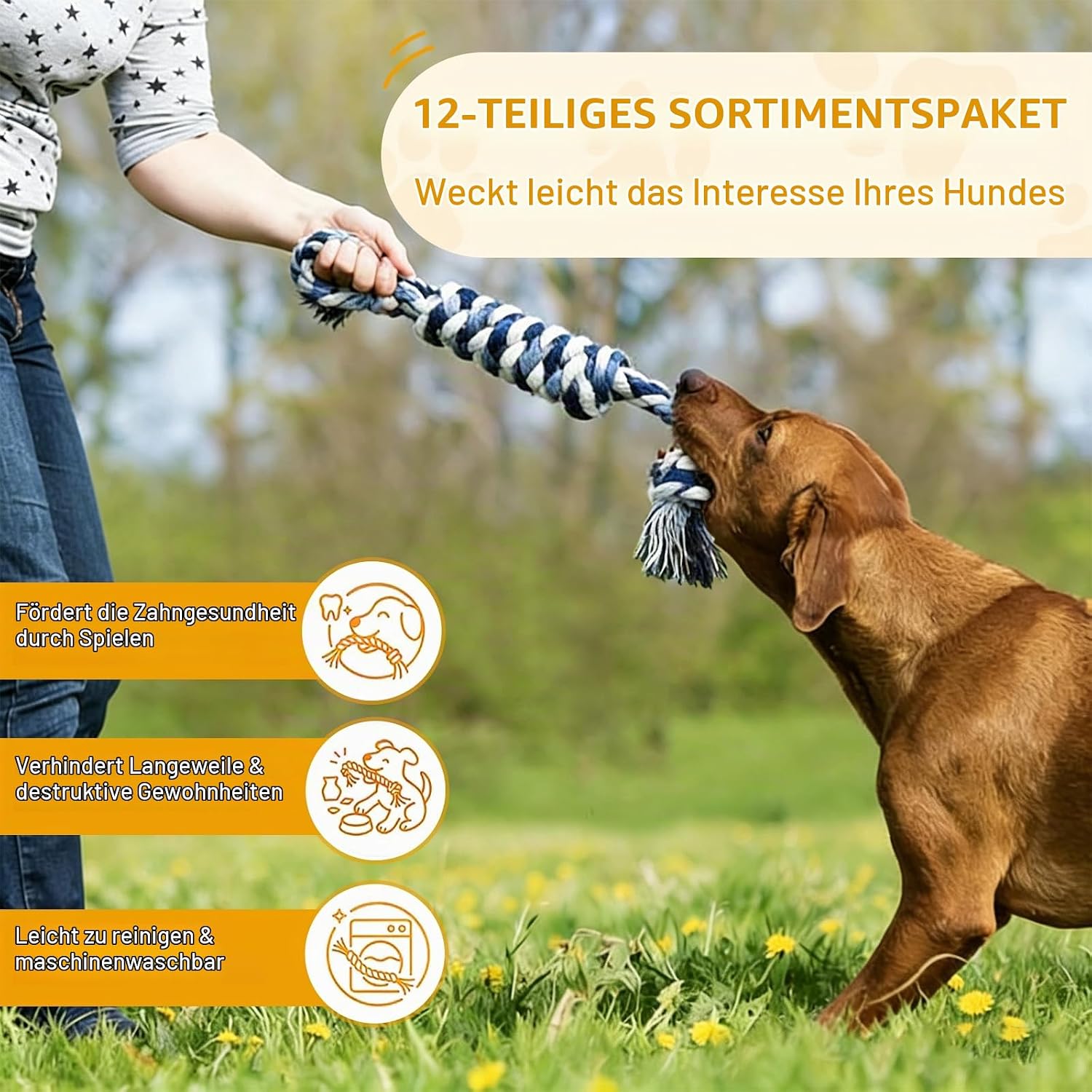 12 Stück Hundespielzeug Set,Welpenspielzeug,Langlebiges Hundespielzeug, Welpe Für Kleine Mittelgroßen Hund Interaktives Spielset Unzerstoerbar BaumwollknotenTau Tier. – Bild 5