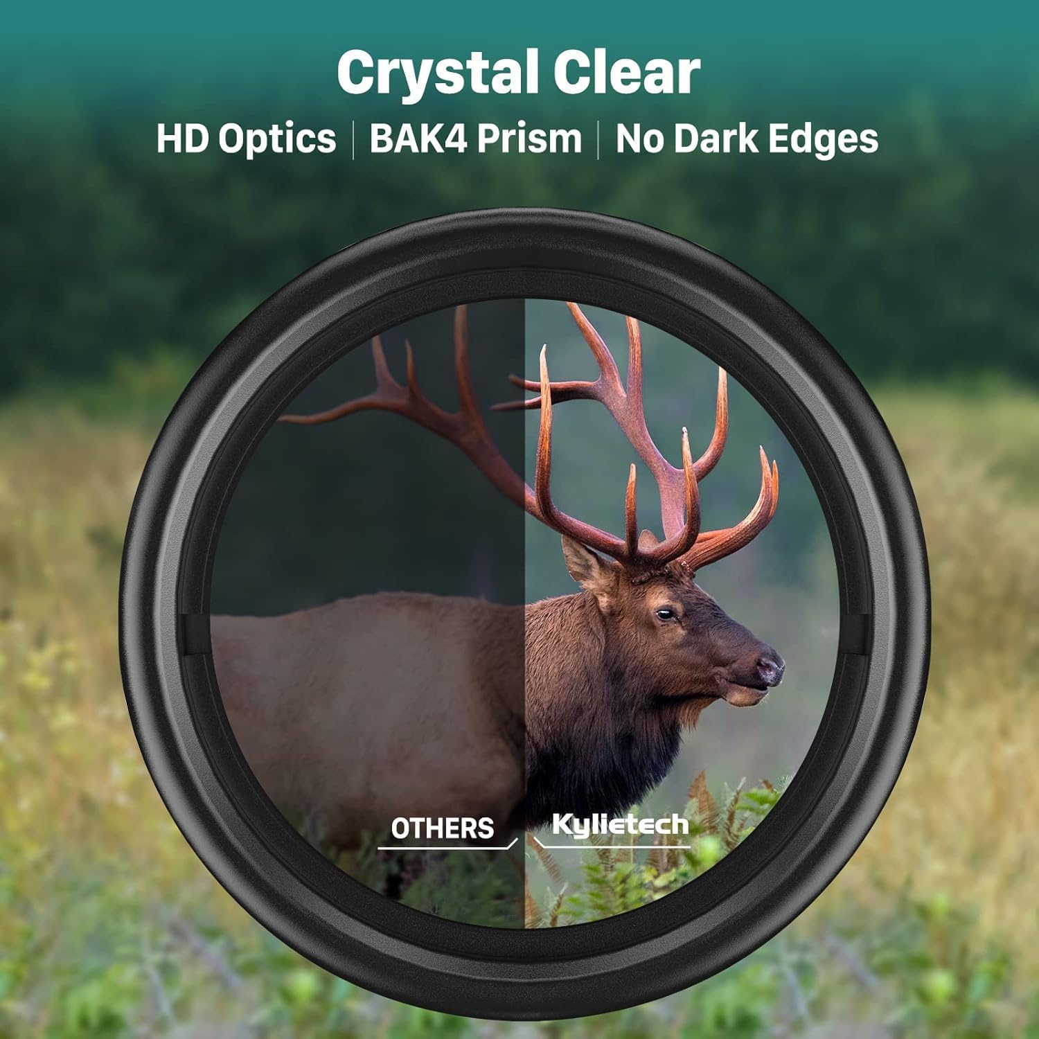 Kylietech Fernglas 12x42 HD Kompakte Ferngläser wasserdicht für Vogelbeobachtung, Jagd, Wandern, Sightseeing, FMC-Linse Feldstecher inkl. Tragetasche, Tragegurt und Smartphone-Adapter – Bild 7