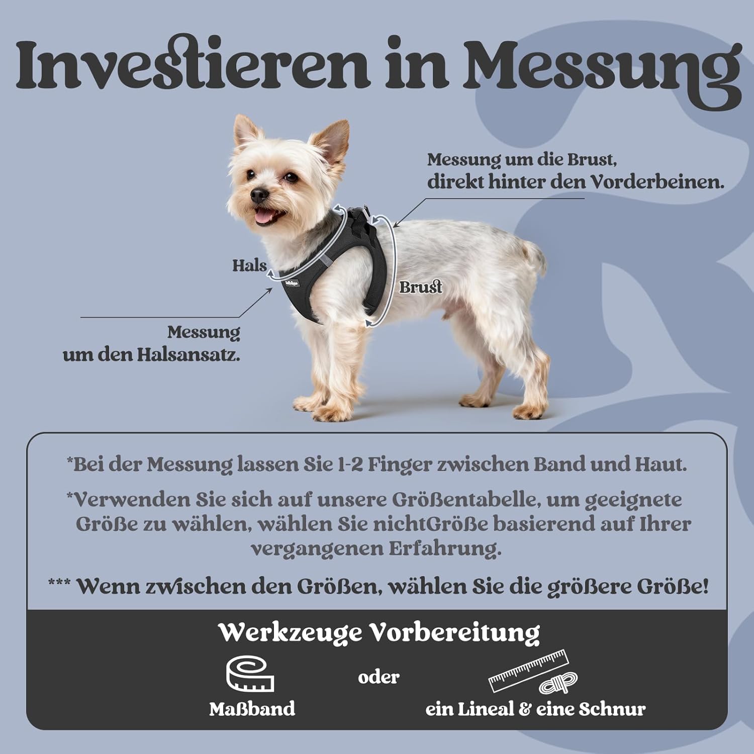 rabbitgoo Hundegeschirr Kleine Hunde, Step-in Weiches Mesh, Schwarz – Bild 2