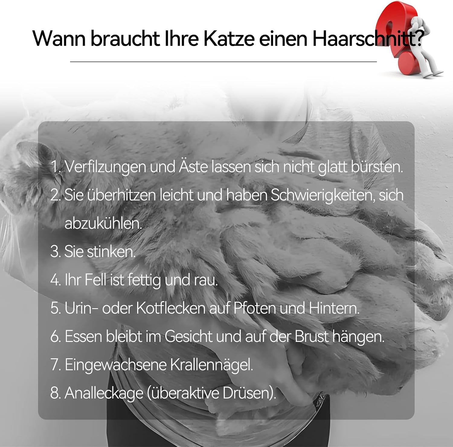 Leise Schermaschine Katze Set,Profi Haarschneidemaschine für Katzen Hunde Verfilztes Fell Pfotenhaare mit Pflegeschere & Kamm,USB-C-Aufladung – Bild 7