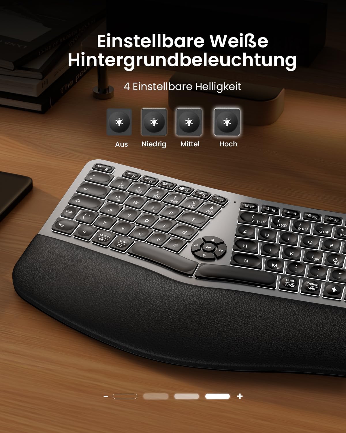 ProtoArc EK01 Plus Beleuchtet Ergonomische Tastatur Kabellos, Full Size – Bild 3