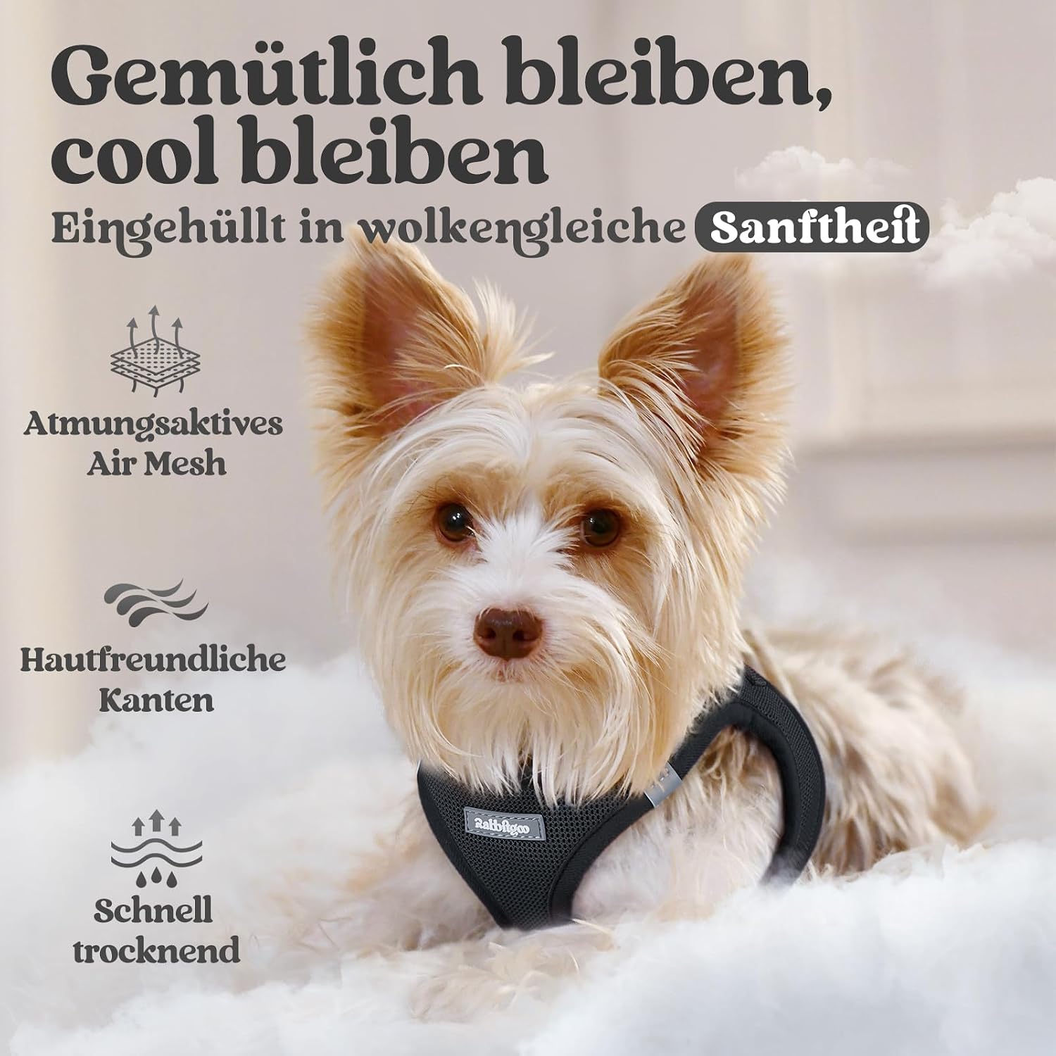 rabbitgoo Hundegeschirr Kleine Hunde, Step-in Weiches Mesh, Schwarz – Bild 3