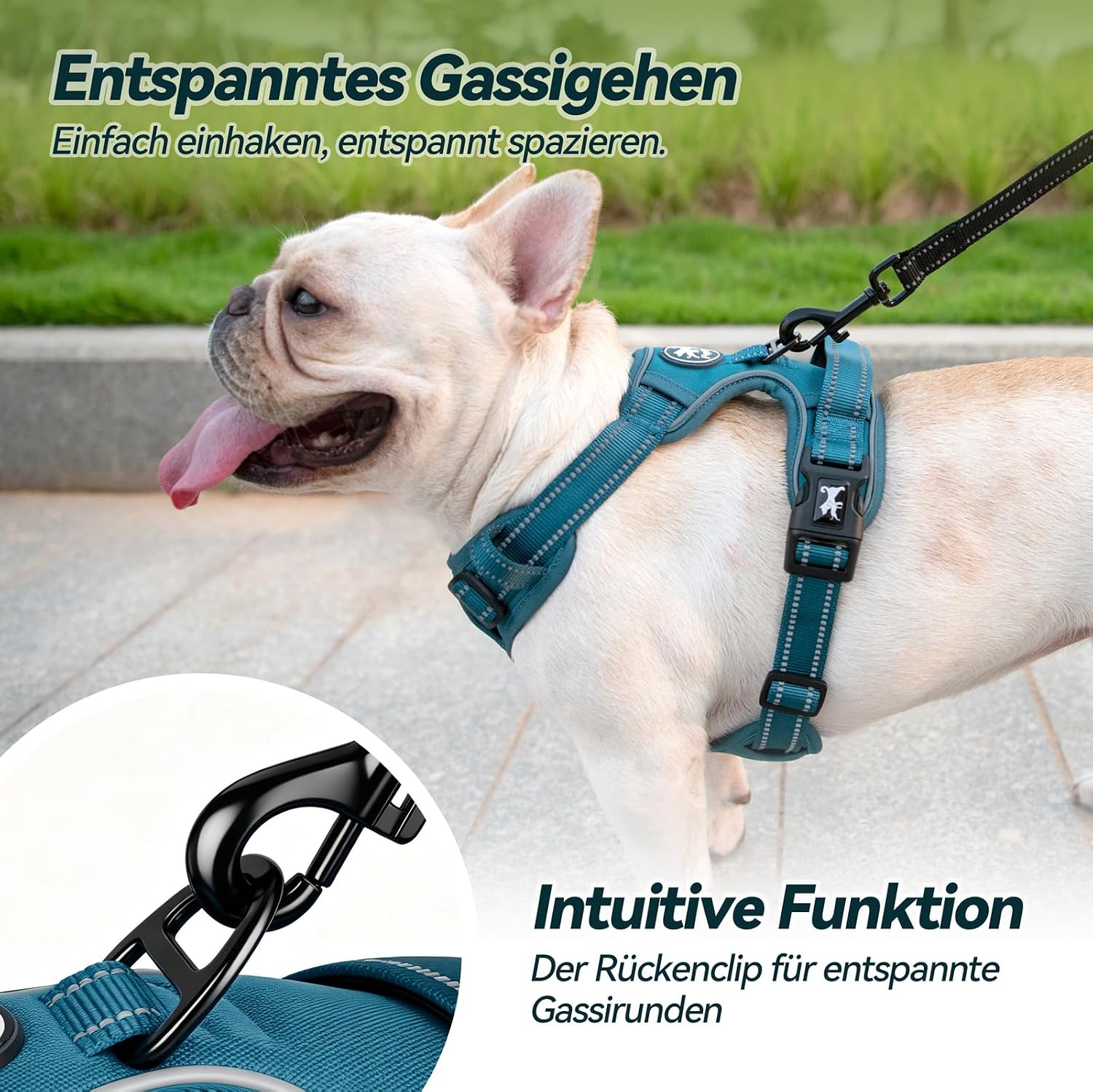 PoyPet Hundegeschirr ohne Zug, Reflektierendes Hundegeschirr für Hunde ohne Würgen, verstellbare, weich gepolsterte Haustierweste mit einfachem Steuergriff für mittelgroße Hunde (Tumalo Teal, M) – Bild 7