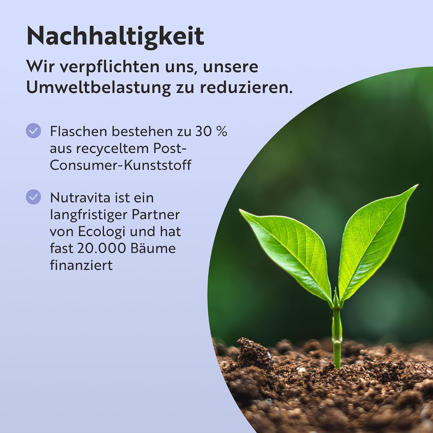 Nutravita Multivitamin & Mineralstoffe - 365 vegane Tabletten – Bild 7