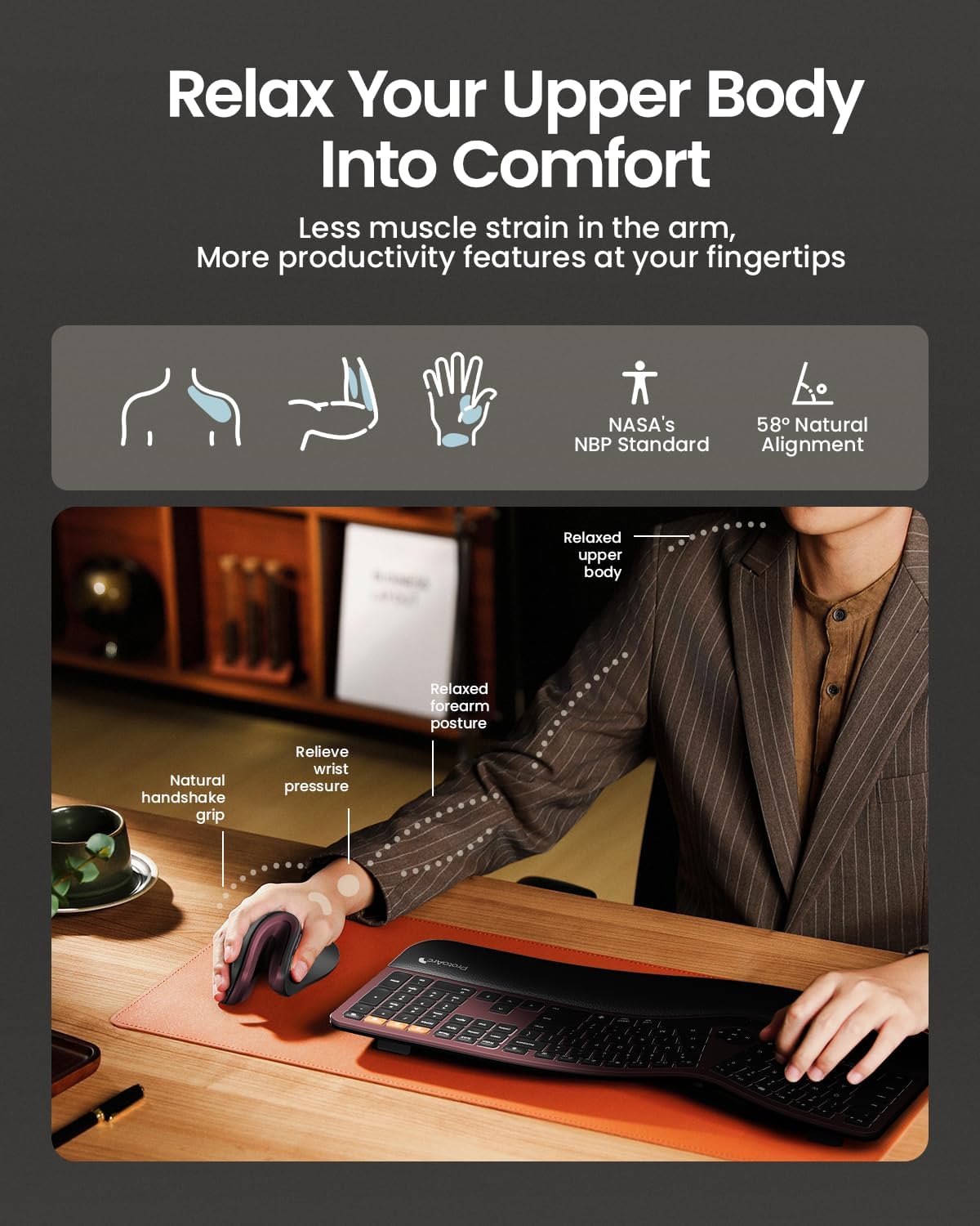 ProtoArc EM11 NL Kabellos Bluetooth5.0 Ergonomische Vertikale Maus – Bild 5