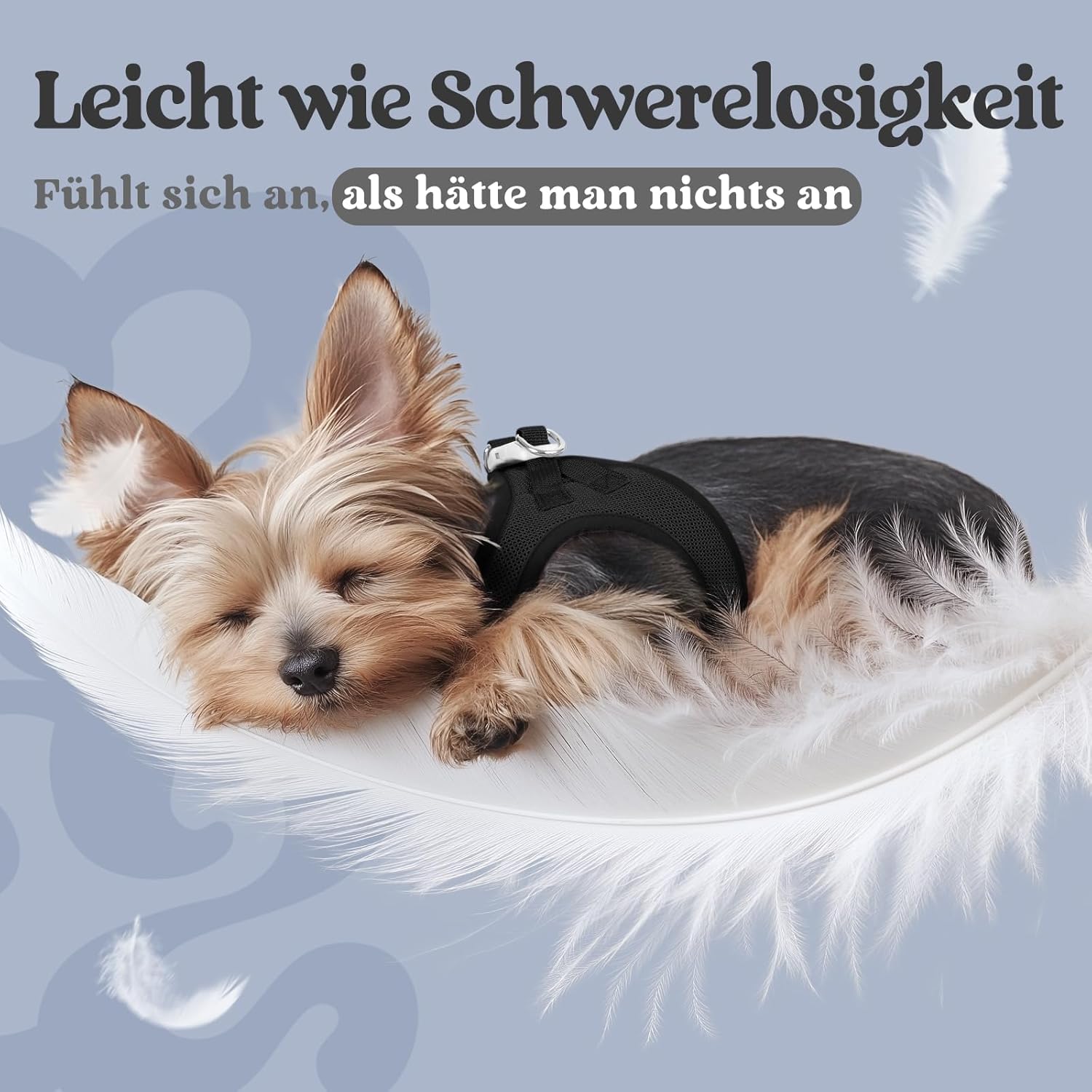 rabbitgoo Hundegeschirr Kleine Hunde, Step-in Weiches Mesh, Schwarz – Bild 4