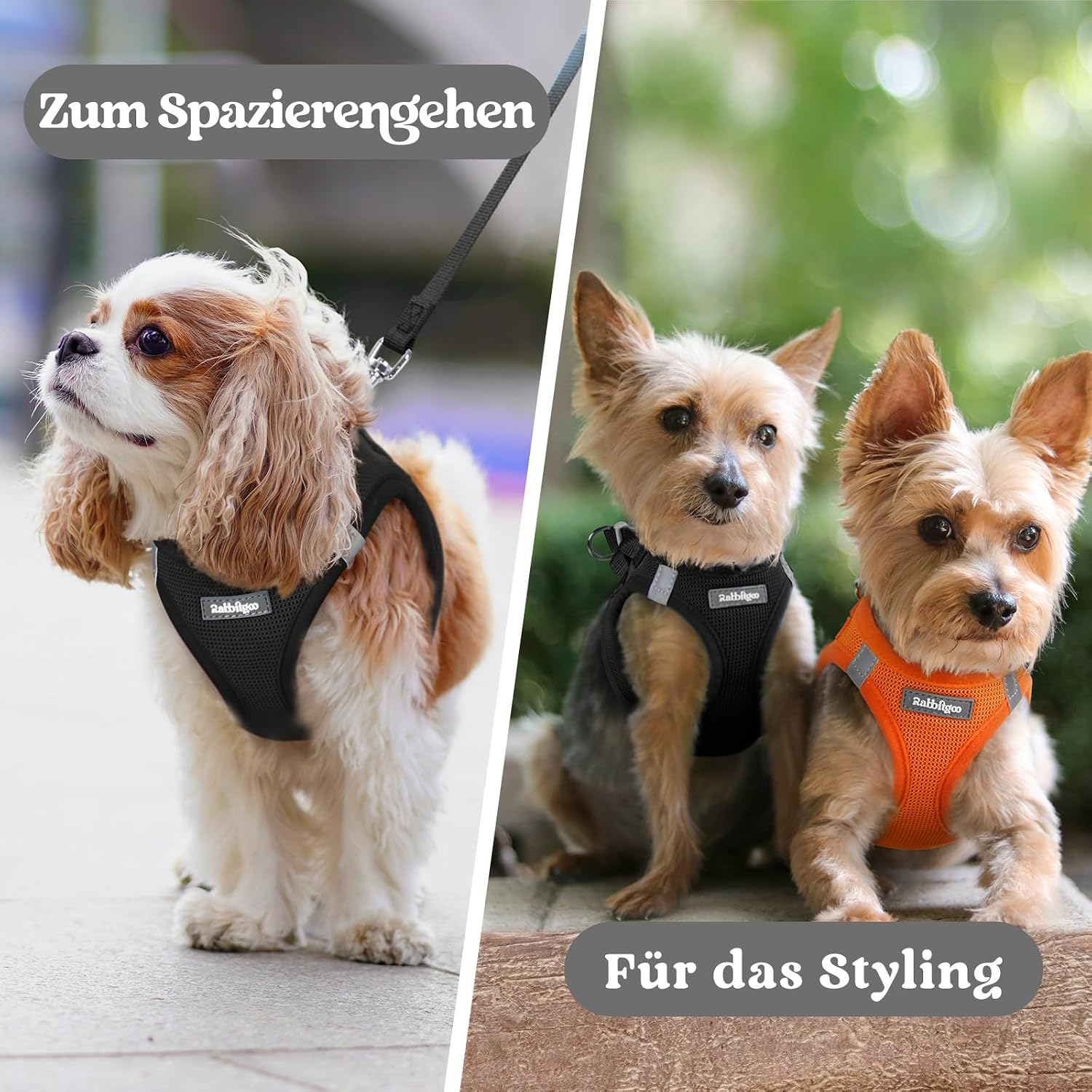 rabbitgoo Hundegeschirr Kleine Hunde, Step-in Weiches Mesh, Schwarz – Bild 9