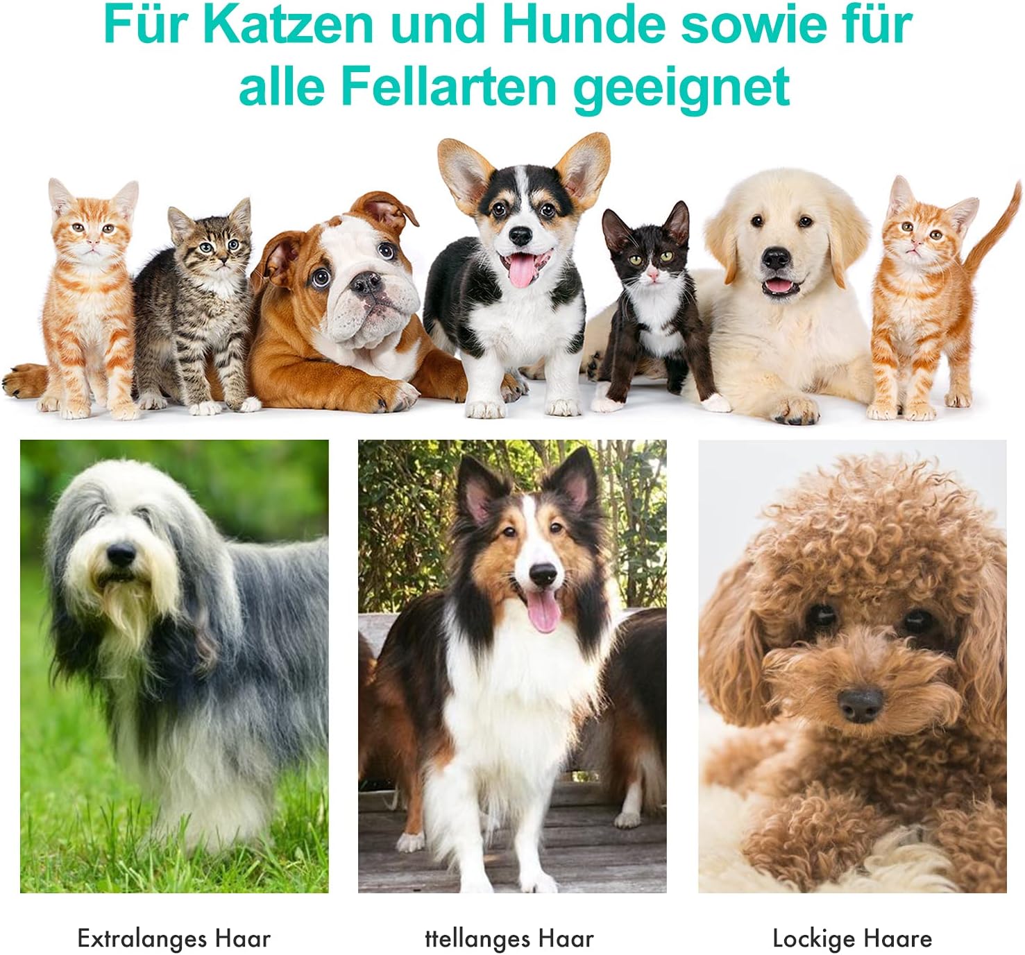 Neakasa Hundeschermaschine mit Staubsauger, 2-Jahres-Serviceplan – Bild 8