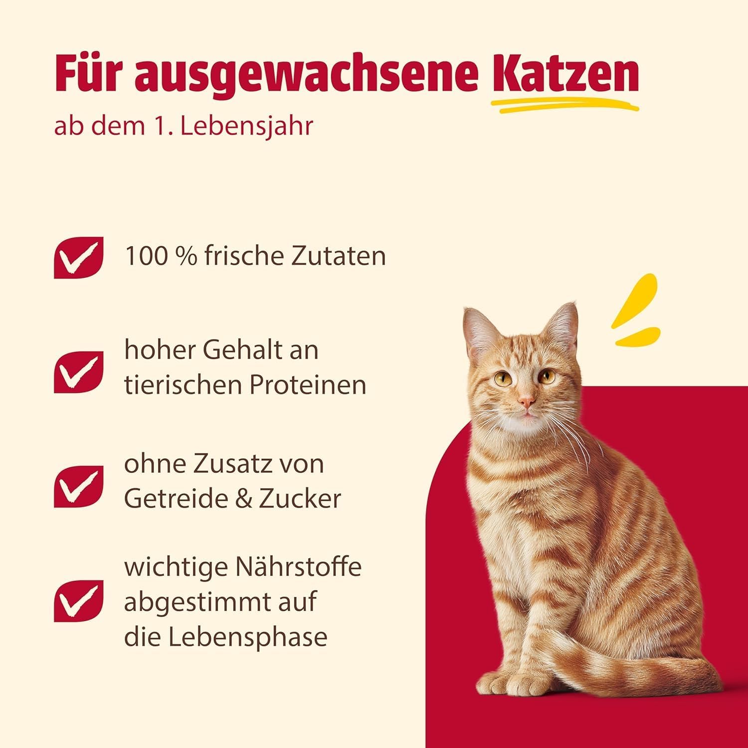 animonda Carny Adult Katzenfutter nass Kräftige Variation (12 x 400g) – Bild 4