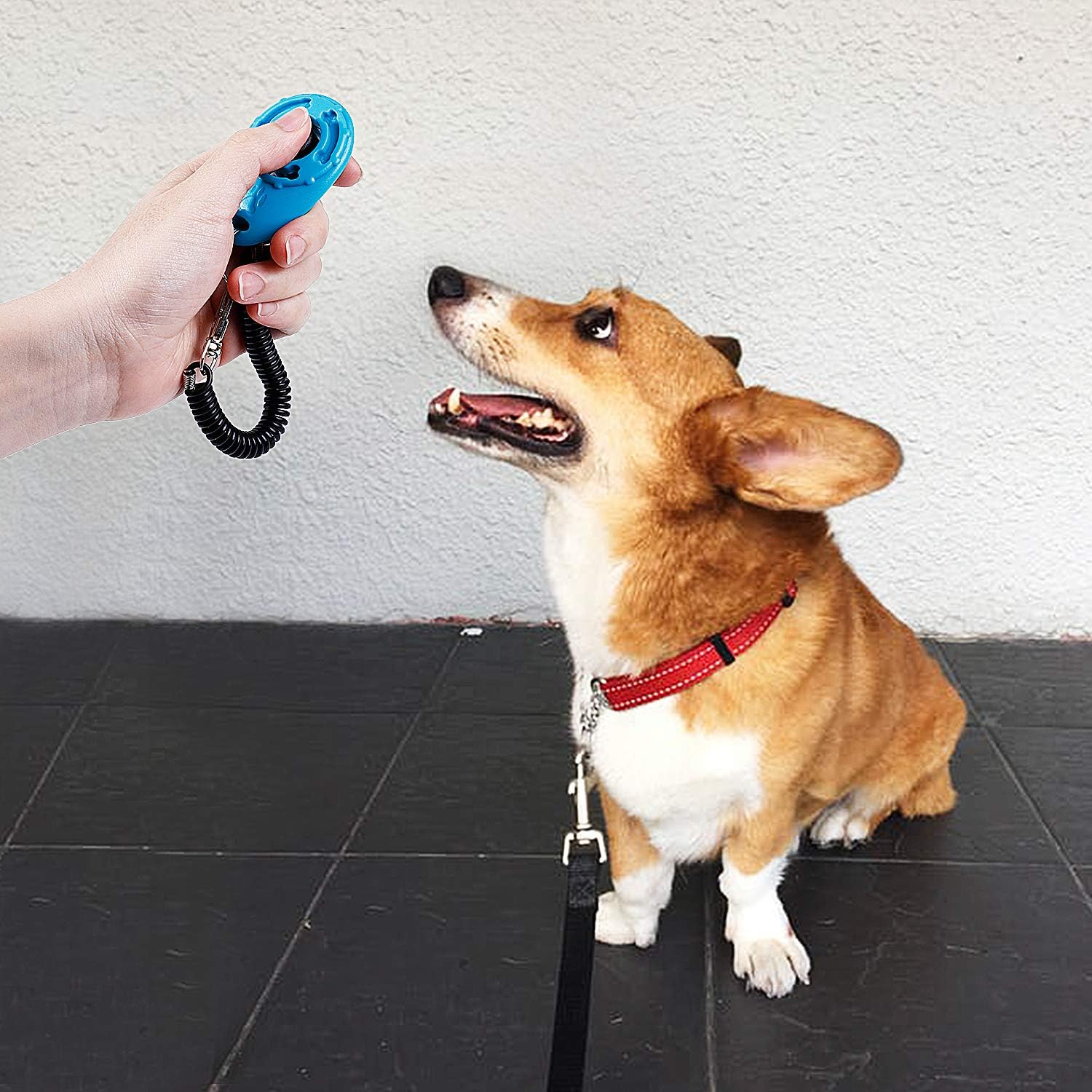 Toozey Hunde Clicker, 5 Stück Trainings Clicker für Hundeerziehung und Hundetraining, Klicker mit Großem Knopf für Hund, Katze, Pferd – Bild 7