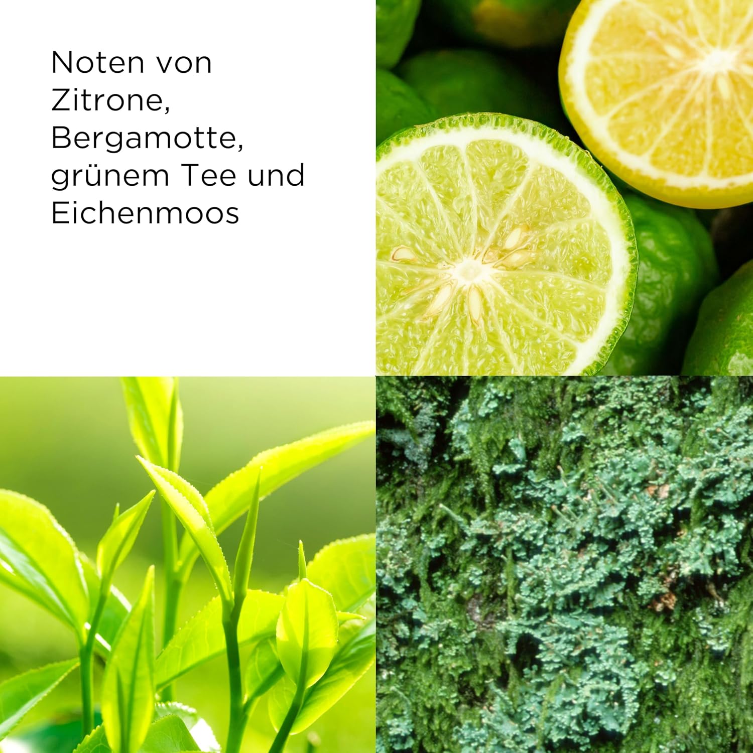 Elizabeth Arden - Green Tea, erfrischende Körperlotion mit Grüntee-Extrakt-Duft, Feuchtigkeitsspendend und regenerierend, belebt die Sinne, seidig glatte Haut – Bild 4