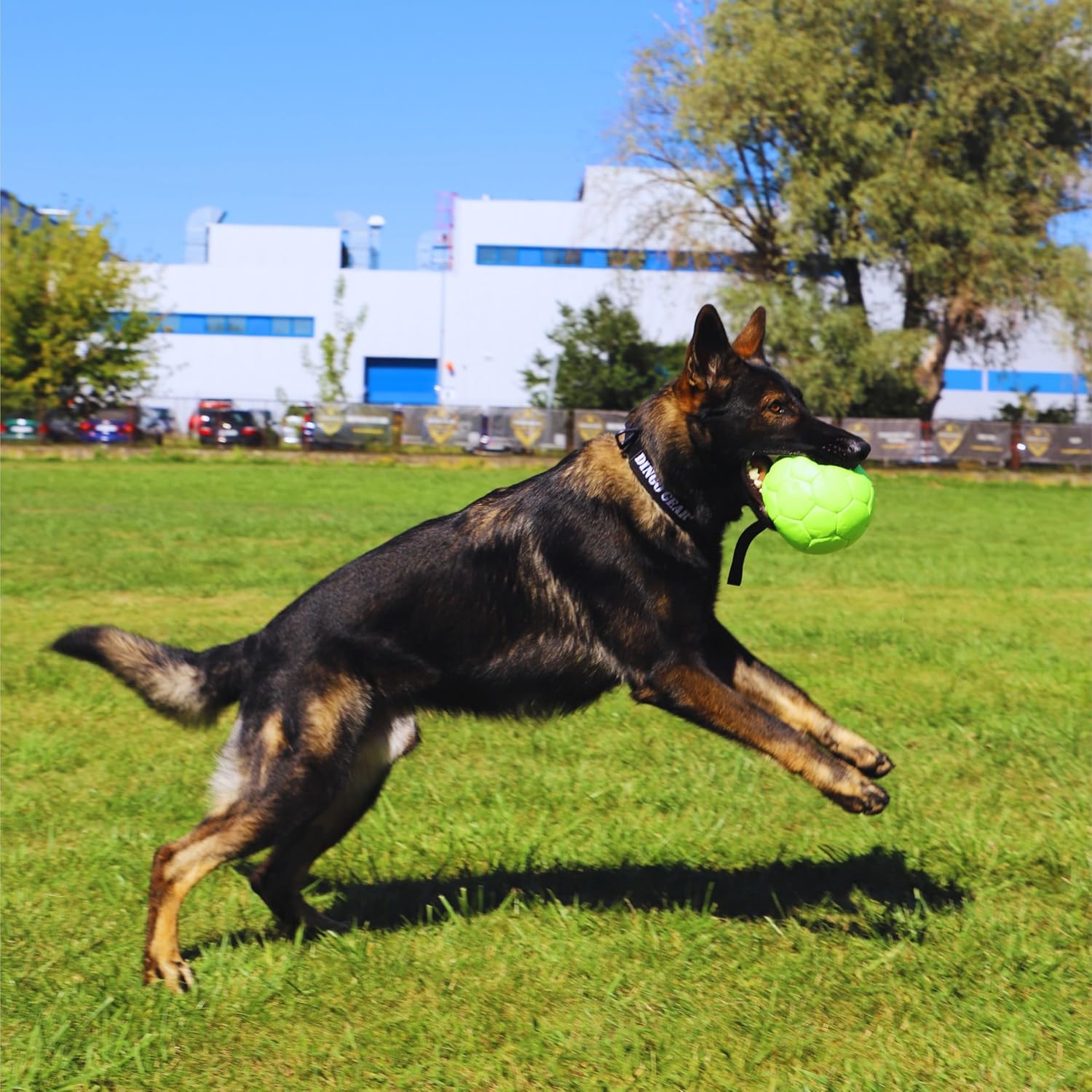 Dingo Gear Ball mit Schlaufe gefüllt vollball aus Eco Leder Durchmesser von 18 cm Hundespielzeug Trainings Ball Hundetraining Spaß für Hund Grün Neon S02699 – Bild 7