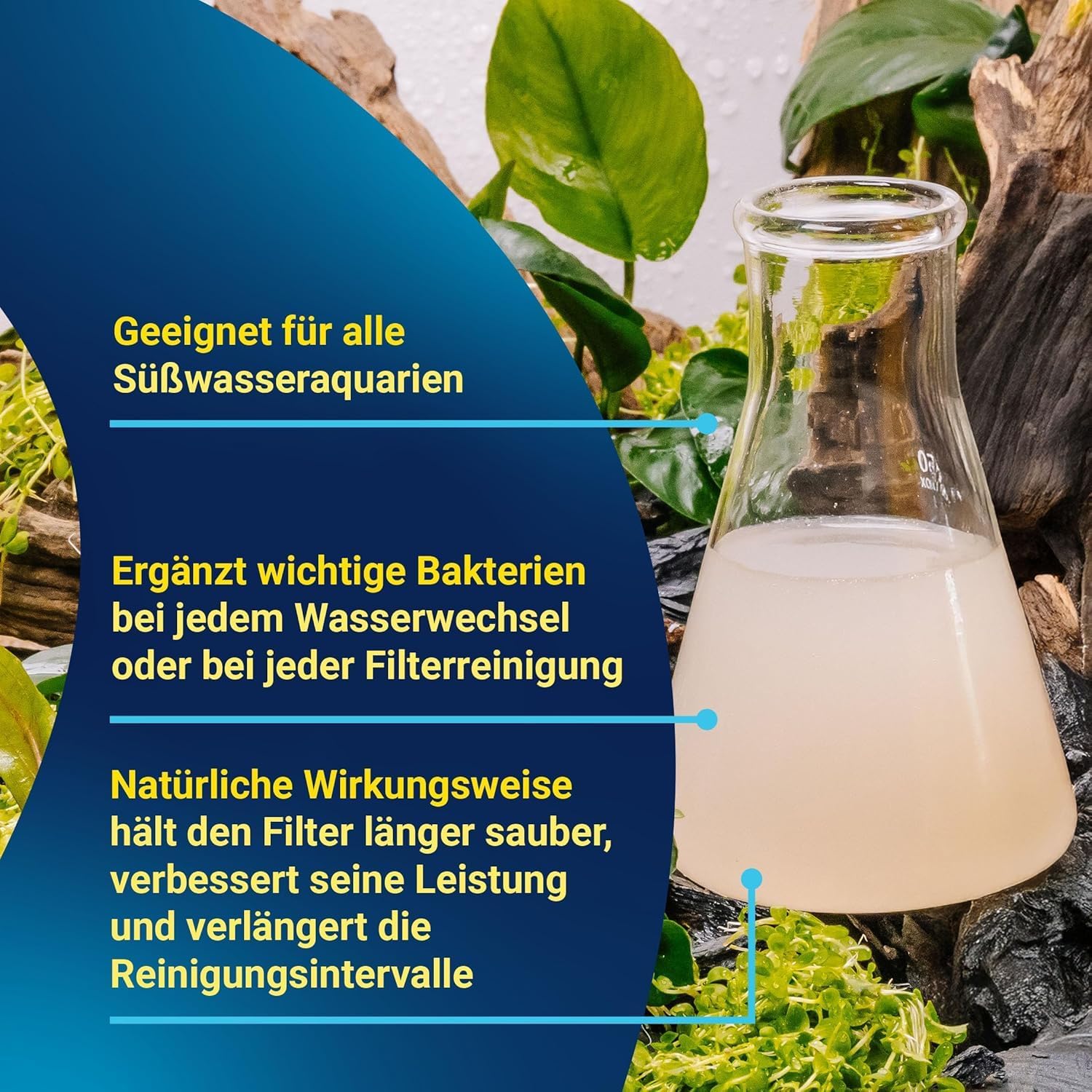 Tetra FilterActive Bacteria - Wasserpflegemittel, 250 ml Flasche – Bild 5