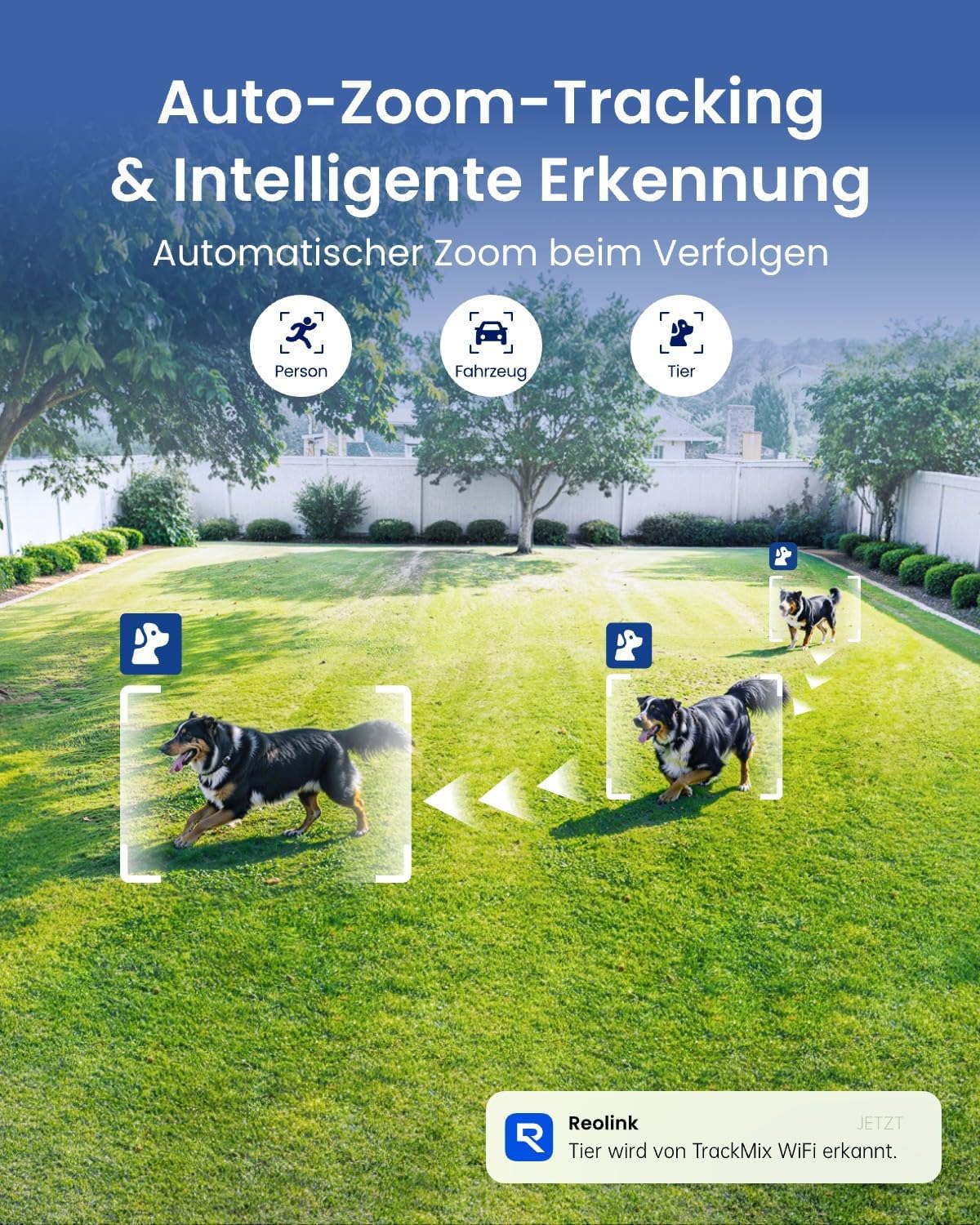 Reolink 4K 8MP Wi-Fi 6 PTZ Überwachungskamera Aussen mit Auto-Tracking-Zoom – Bild 4