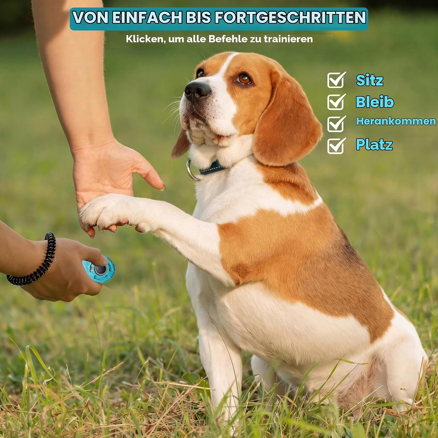 Haustier-Trainingsclicker mit Handgelenkschlaufe, Schwarz + Blau – Bild 5