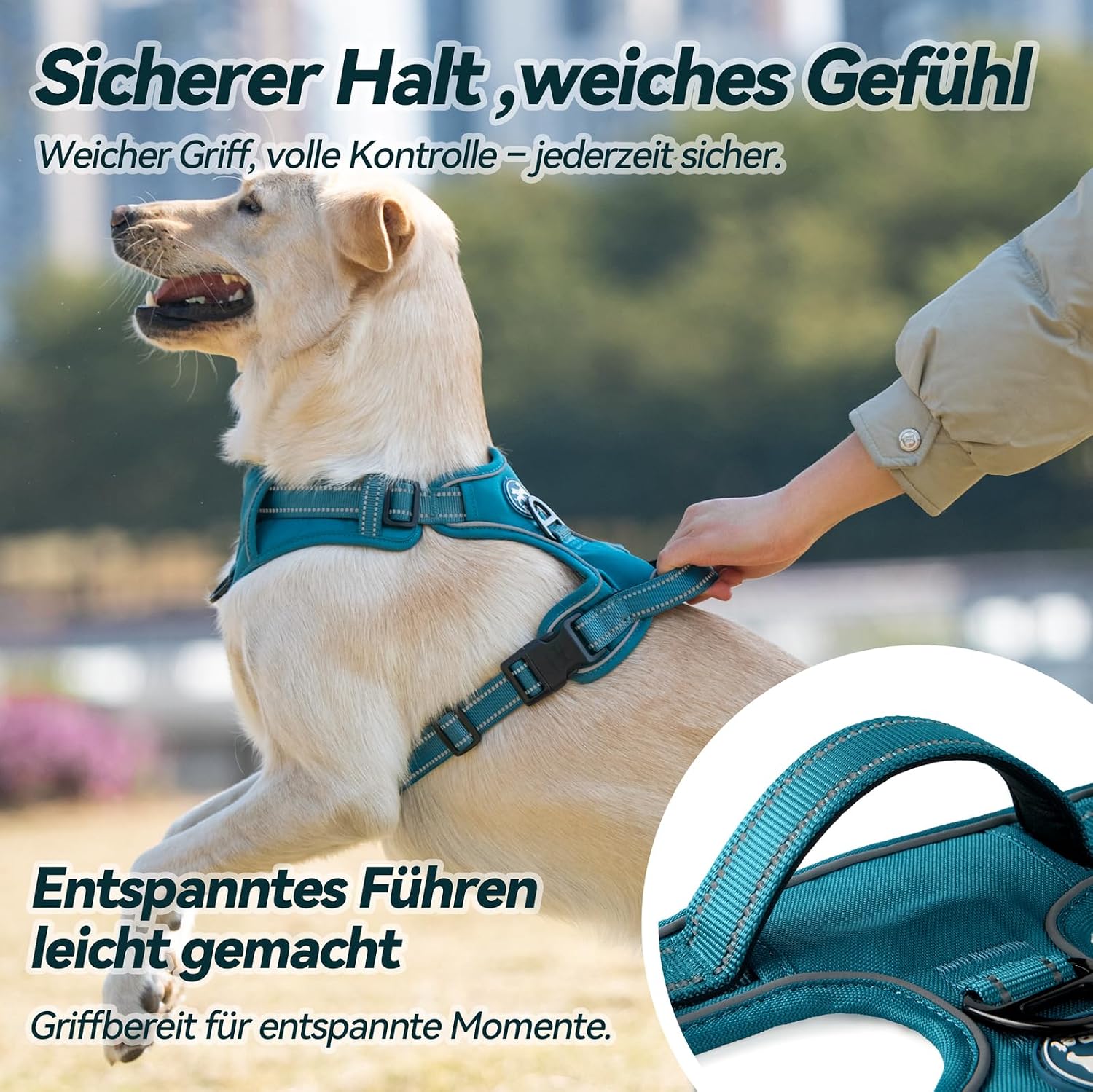 PoyPet Hundegeschirr ohne Zug, Reflektierendes Hundegeschirr für Hunde ohne Würgen, verstellbare, weich gepolsterte Haustierweste mit einfachem Steuergriff für mittelgroße Hunde (Tumalo Teal, M) – Bild 8