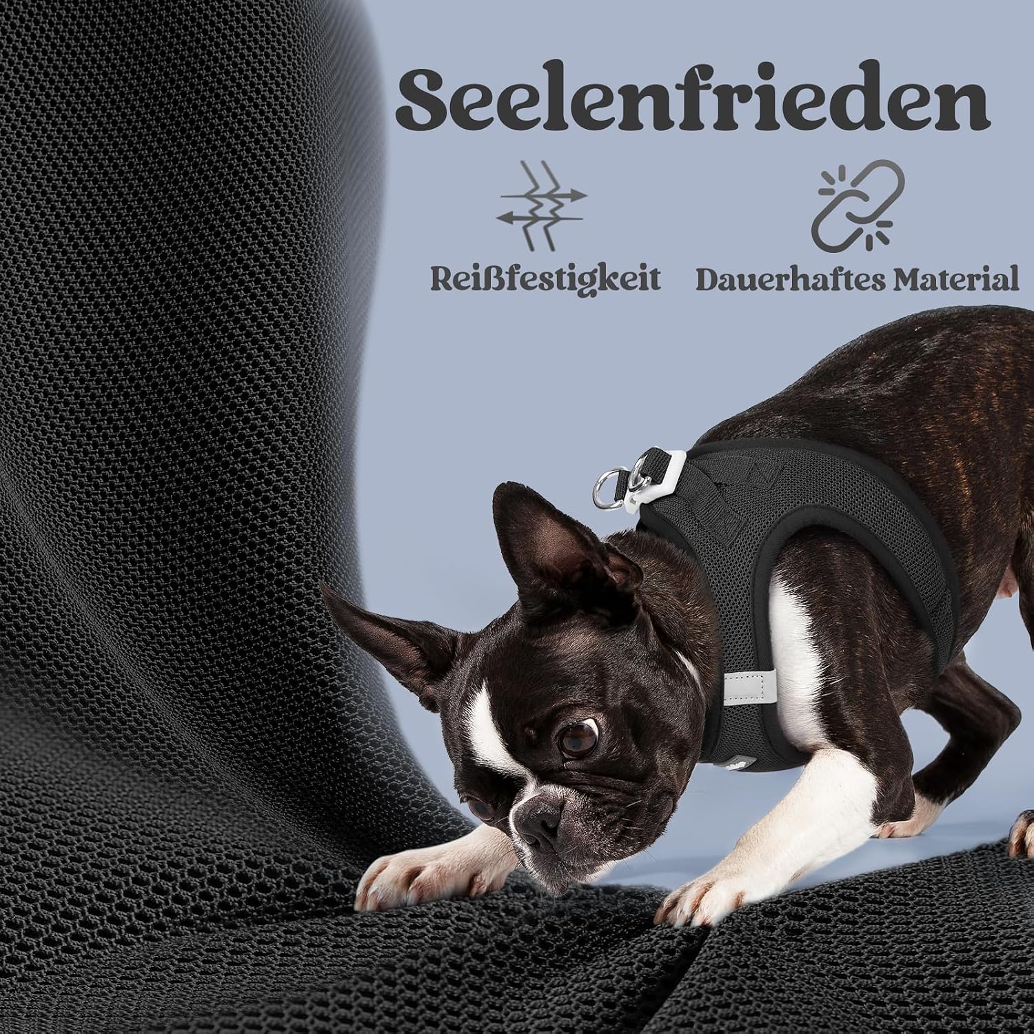 rabbitgoo Hundegeschirr Kleine Hunde, Step-in Weiches Mesh, Schwarz – Bild 7