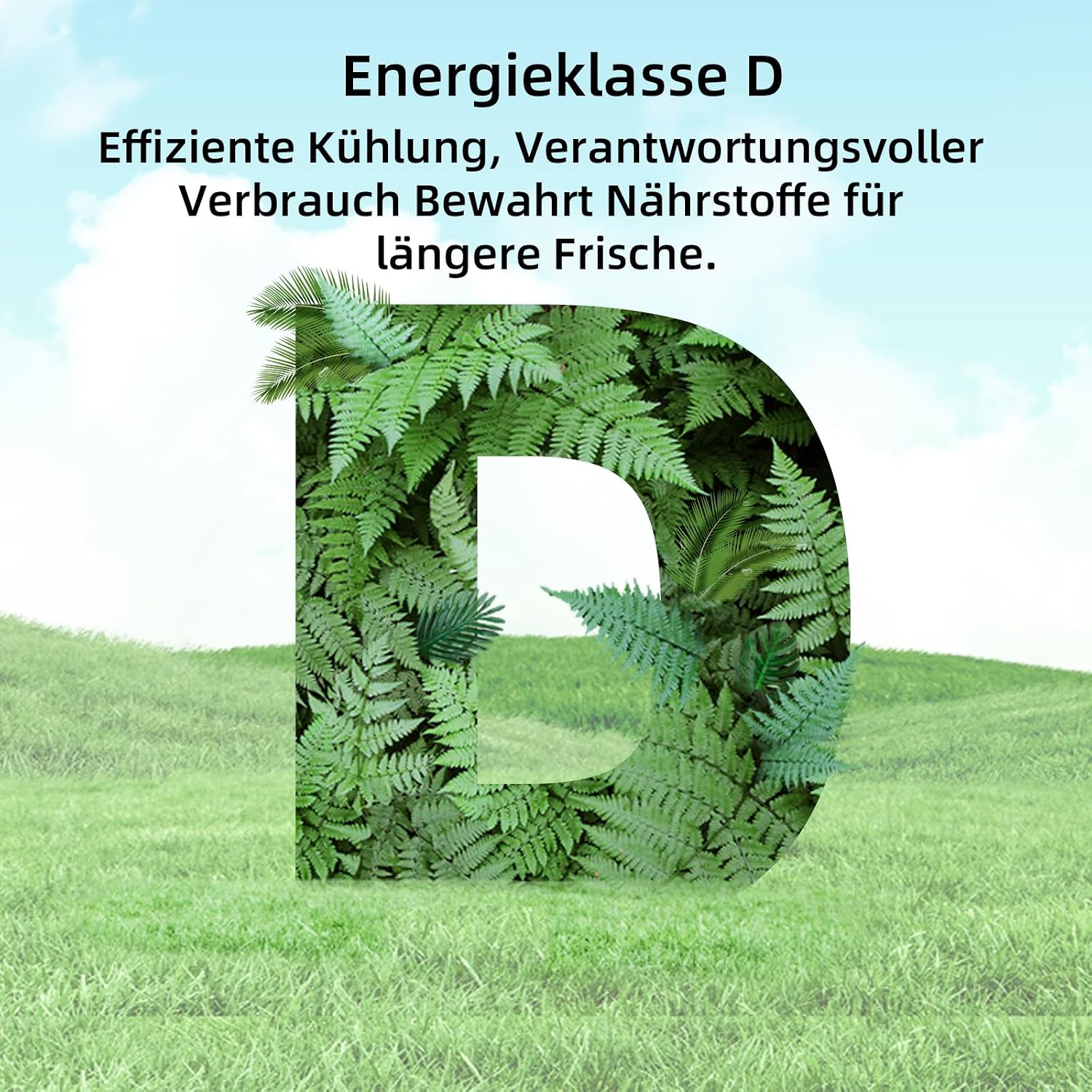 CHiQ Gefrierschrank NoFrost(-24℃), 206L, 170 cm Höhe, LED-Beleuchtung – Bild 6