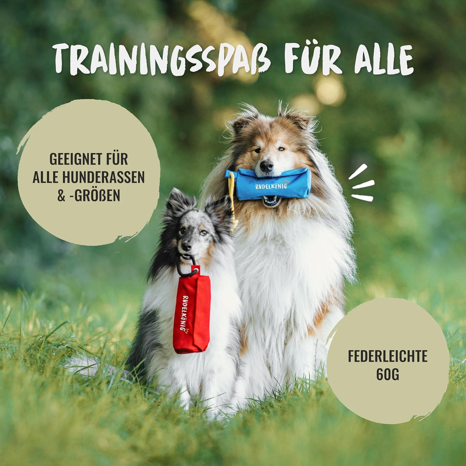 Rudelkönig Futterbeutel Hundetraining - Apportierbeutel für Hunde – Bild 6