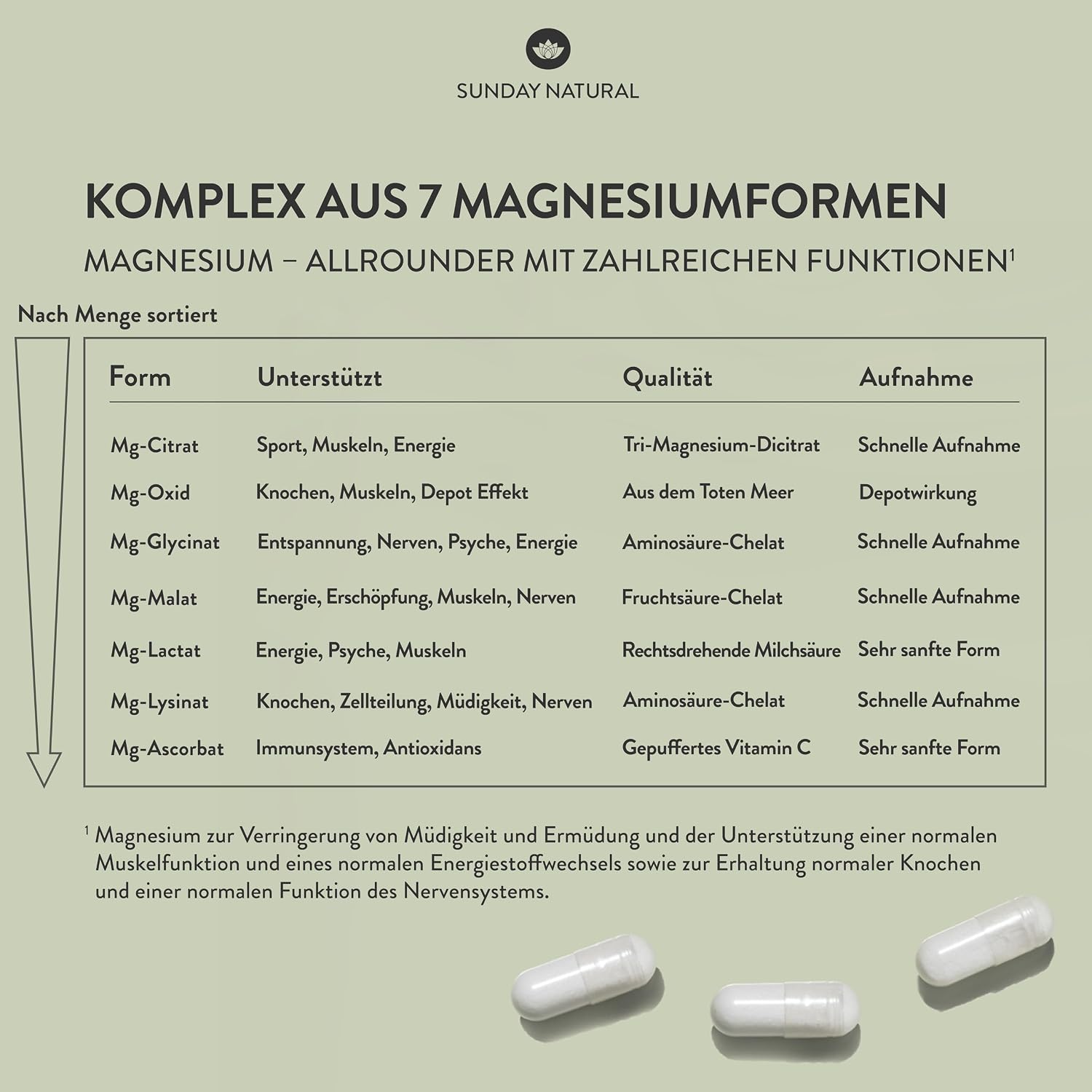 SUNDAY NATURAL® Magnesium Komplex – 240 Kapseln - 400mg pro Tag - aus 7 Verbindungen: Magnesium Bisglycinat, Citrat, Malat, Laktat, Ascorbat, Oxid, Lysinat - Vegan, laborgeprüft – Bild 3