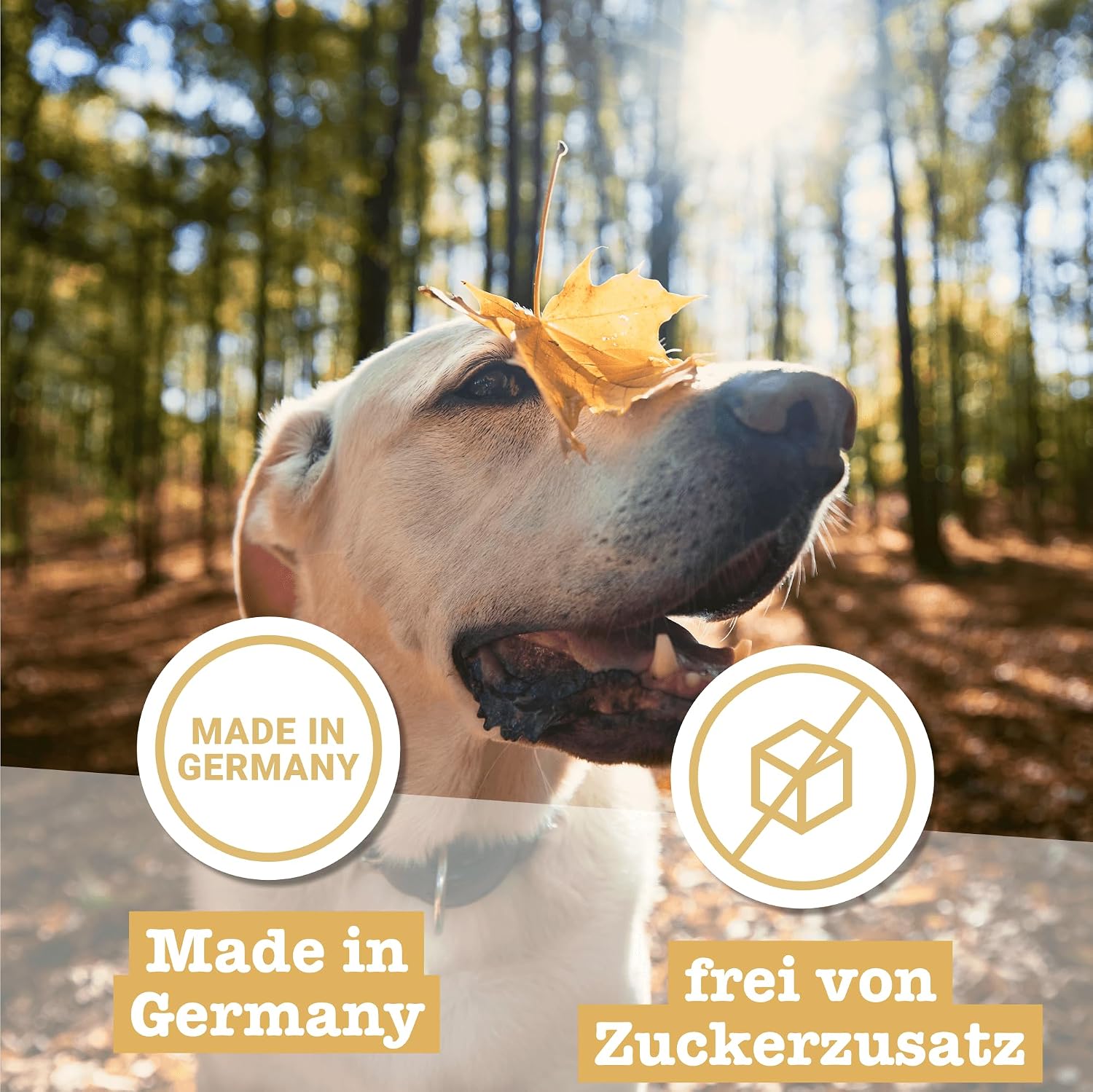 Chewies Goodies Hundeleckerli Geflügel Training MINI - 125 g – Bild 6