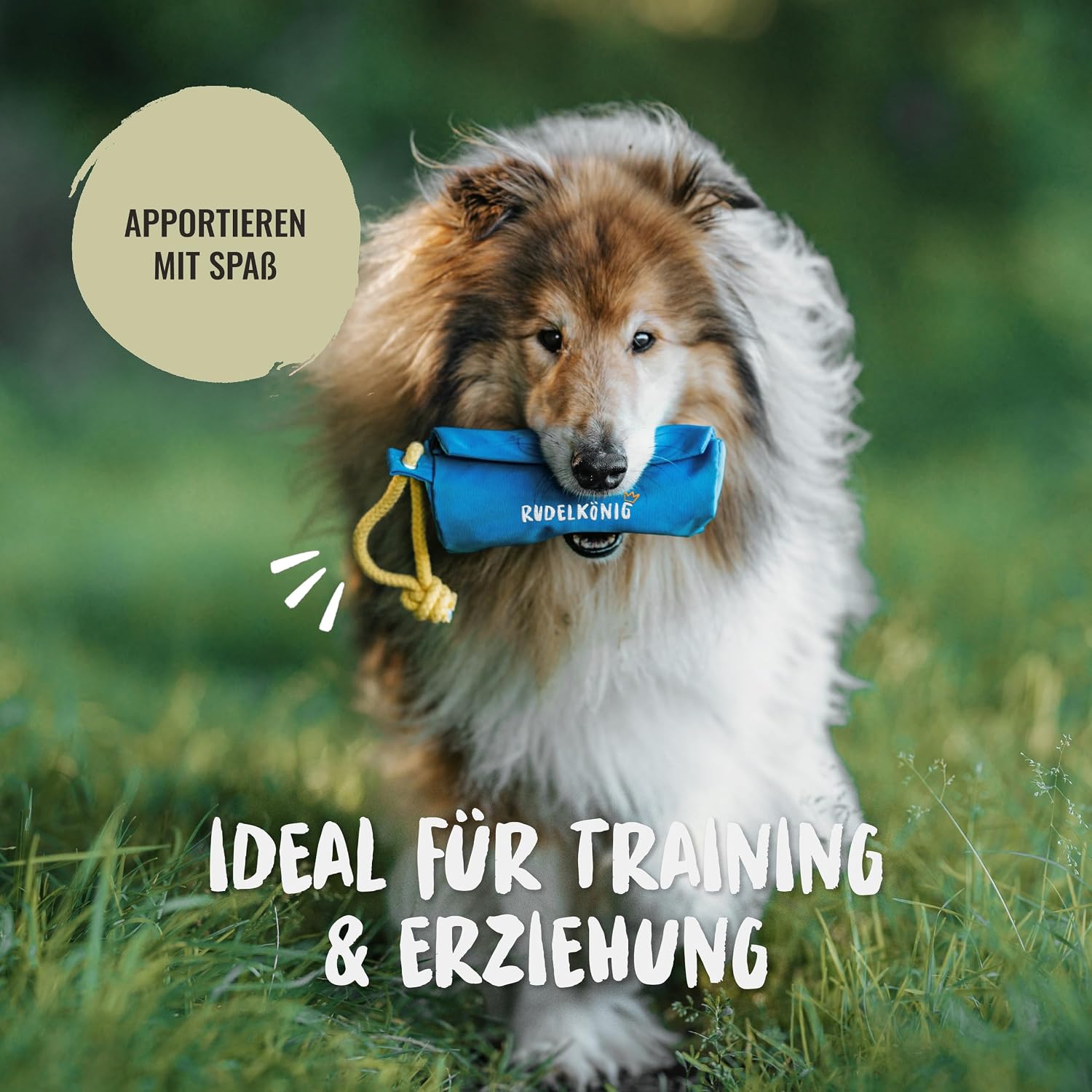 Rudelkönig Futterbeutel Hundetraining - Apportierbeutel für Hunde – Bild 2