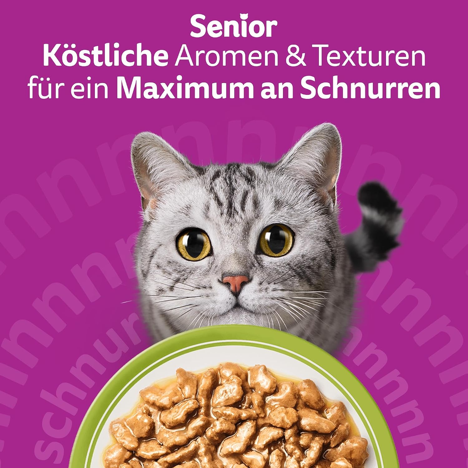 Whiskas Senior 7+ Katzennassfutter Gemischte Auswahl in Gelee, 84 Portionsbeutel, 84x85g (1 Großpackung) – Hochwertiges Katzenfutter nass, für Katzen ab 7 Jahren und älter – Bild 7