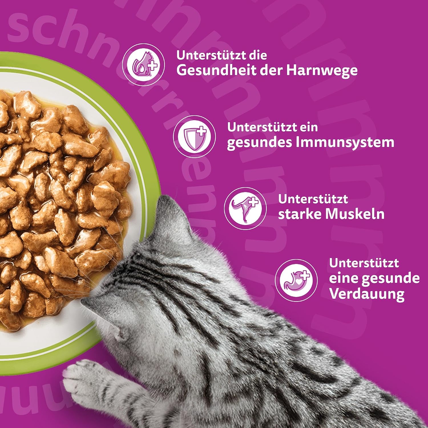 Whiskas Senior 7+ Katzennassfutter Gemischte Auswahl in Gelee, 84 Portionsbeutel, 84x85g (1 Großpackung) – Hochwertiges Katzenfutter nass, für Katzen ab 7 Jahren und älter – Bild 5