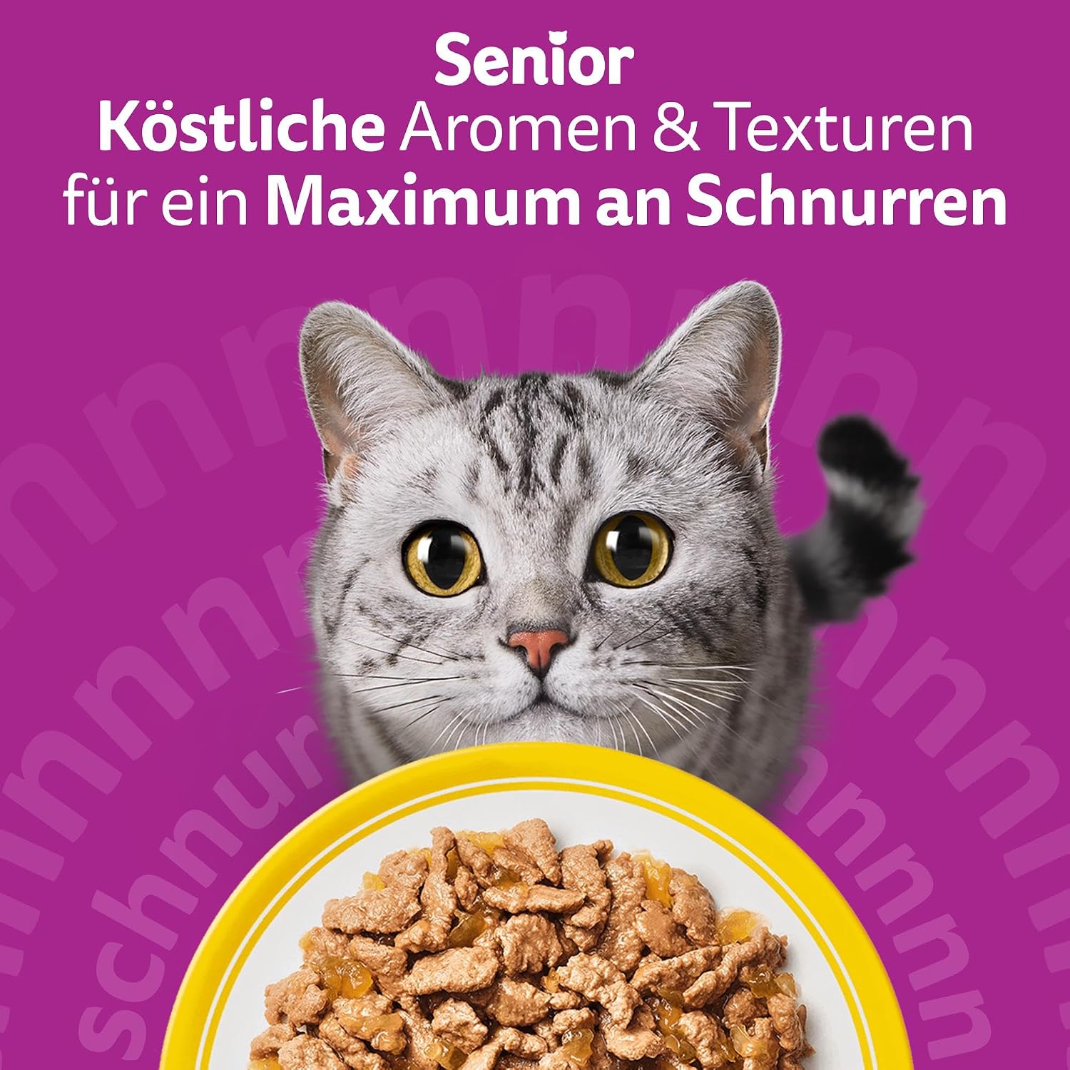 Whiskas 7+ Katzenfutter Geflügel Auswahl in Gelee, 12x85g (4 Packungen) – Hochwertiges Nassfutter ab dem 7. Lebensjahr in 48 Portionsbeuteln – Für die Bewahrung der Vitalität – Bild 7