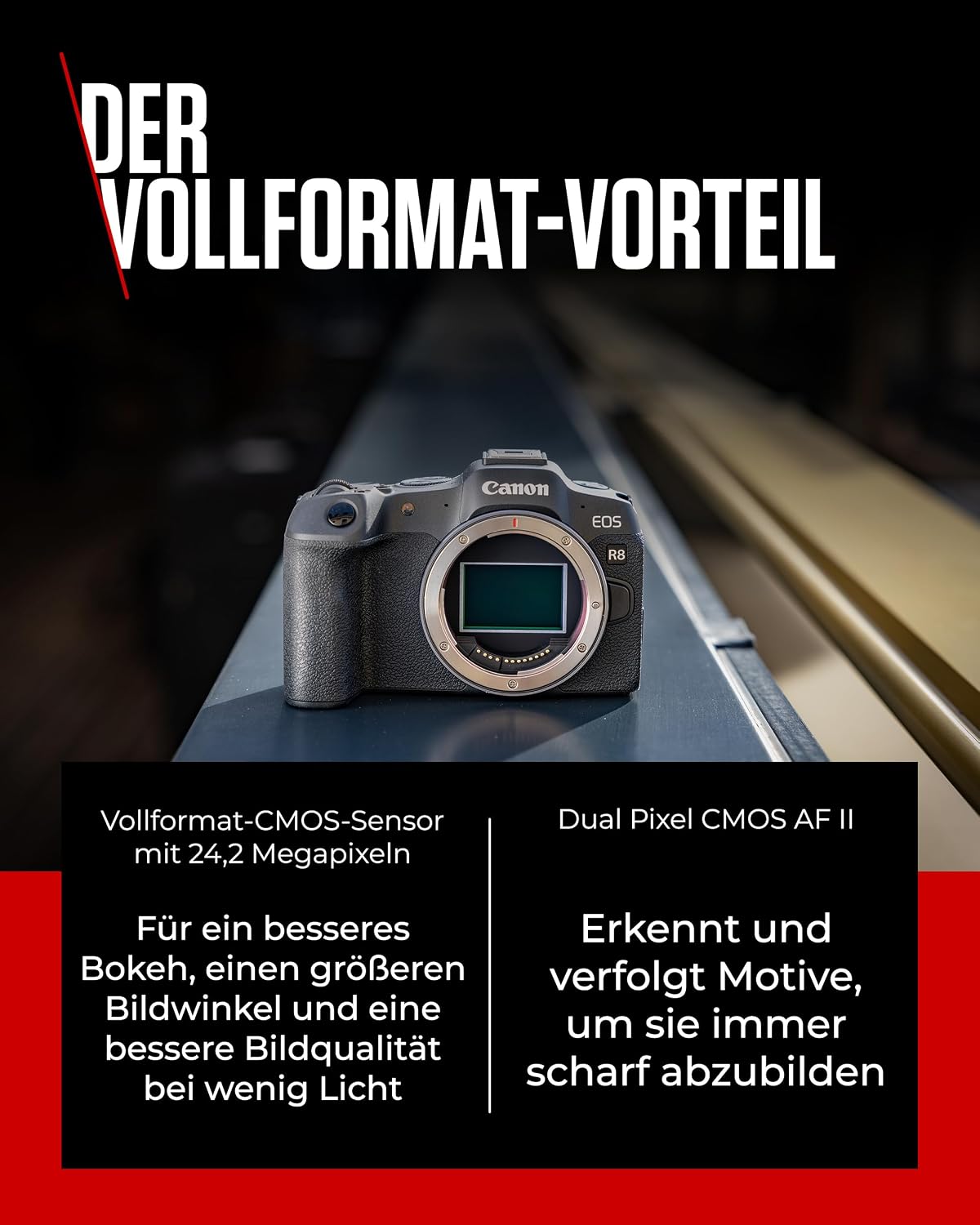 Canon EOS R8 Vollformat-Systemkamera 24,2 MP Sensor 4K + 2 Batterien – Bild 3