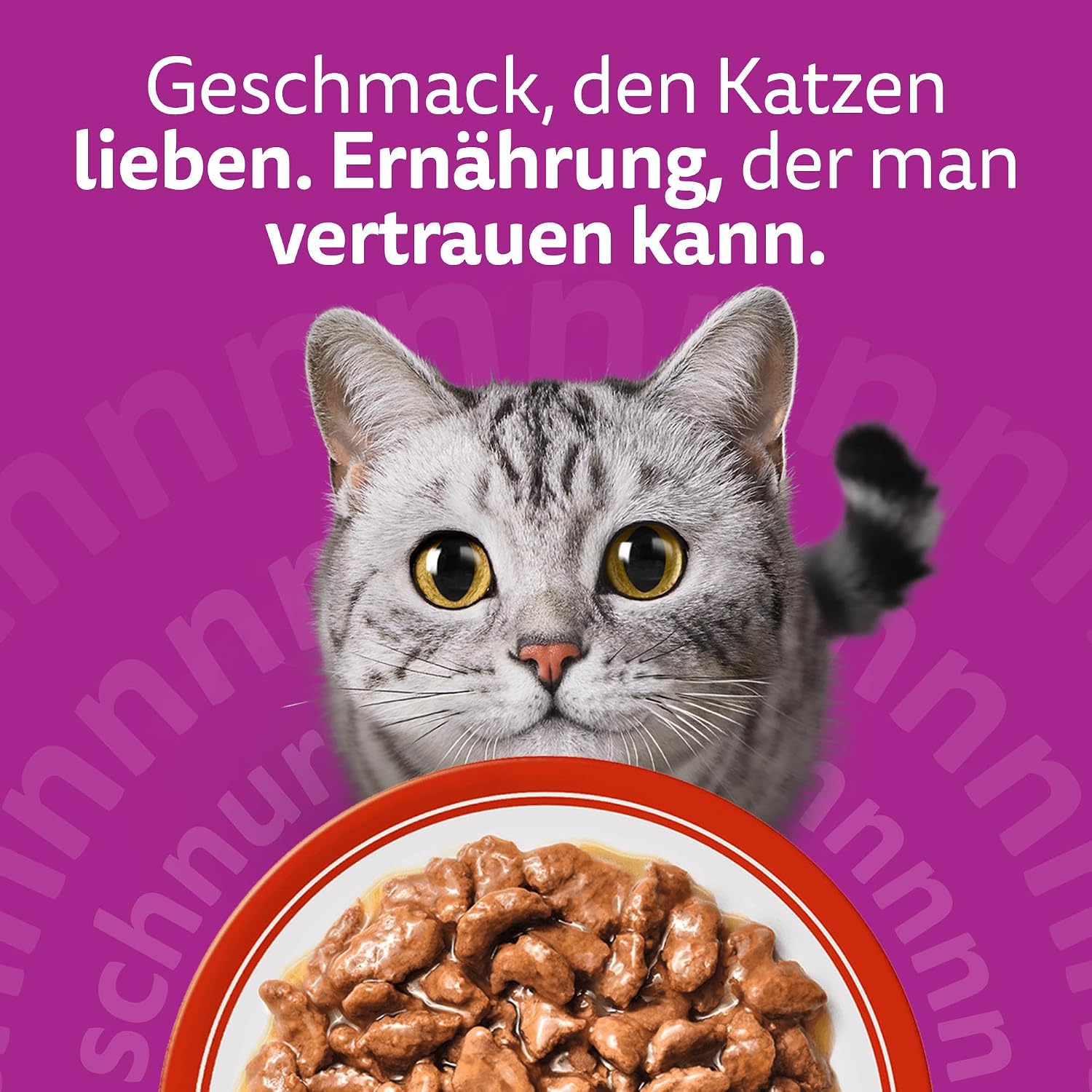 WHISKAS Nassfutter in Sauce für Katzen 84 x 85g Klassische Auswahl – Bild 7