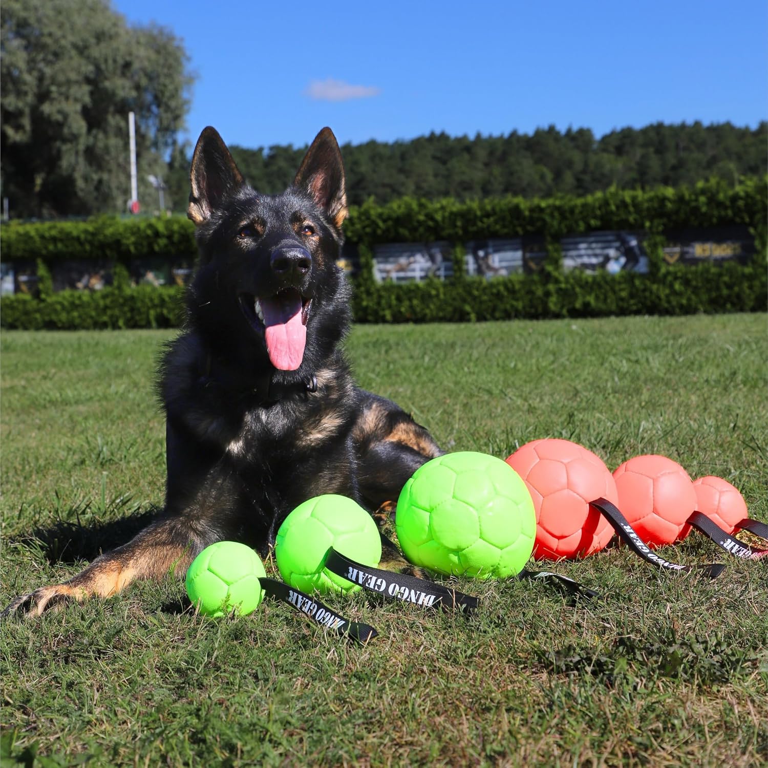 Dingo Gear Ball mit Schlaufe gefüllt vollball aus Eco Leder Durchmesser von 18 cm Hundespielzeug Trainings Ball Hundetraining Spaß für Hund Grün Neon S02699 – Bild 8